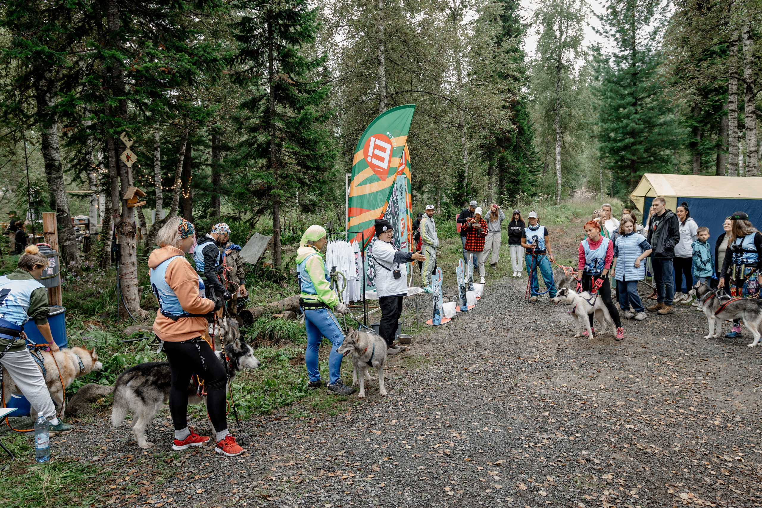 Дог-треккинг