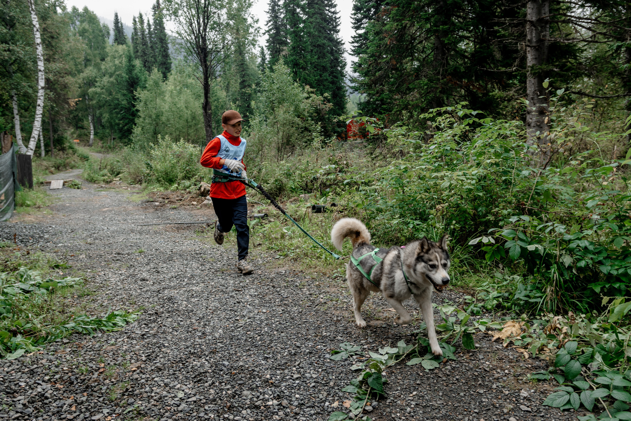 Дог-треккинг