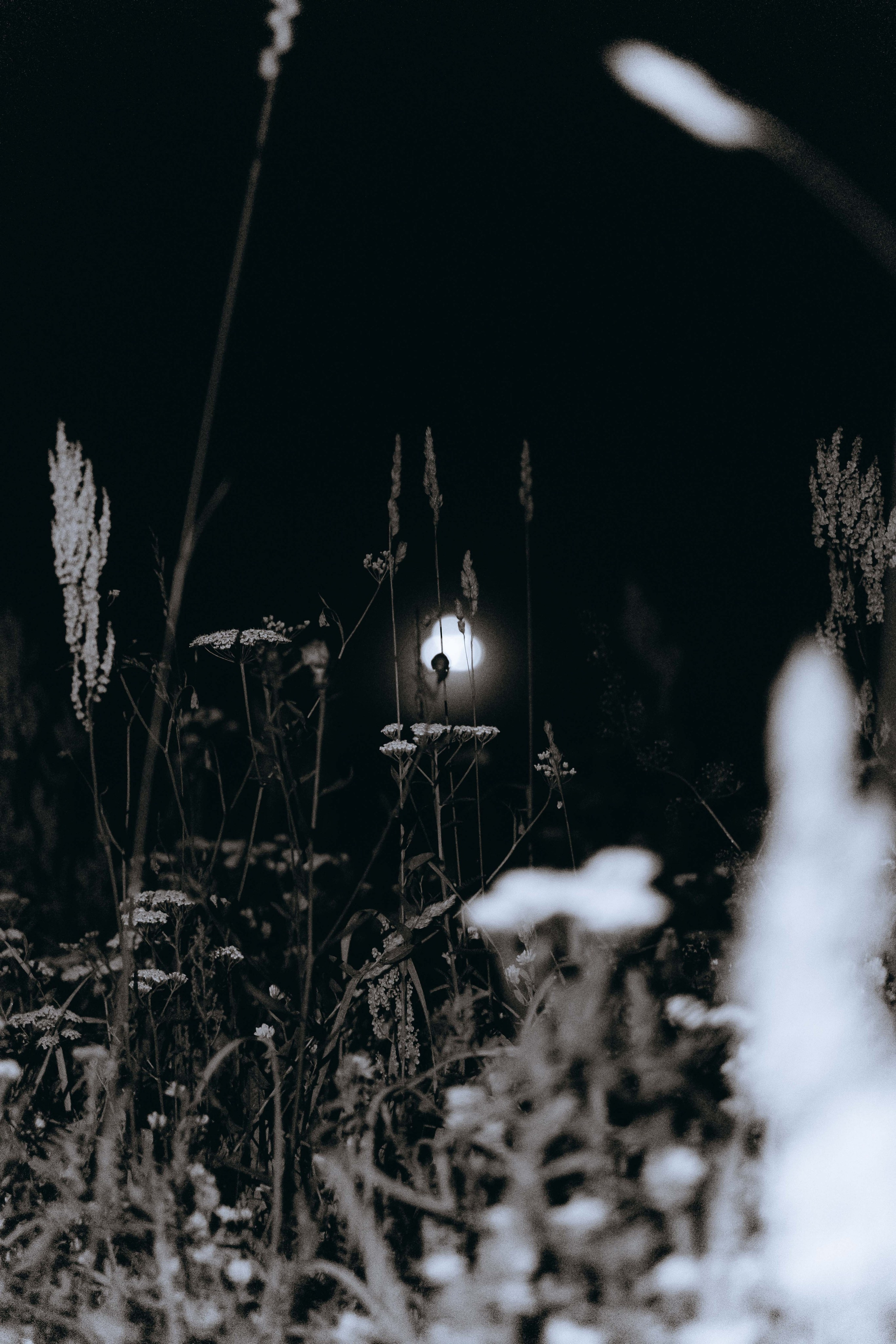 Бессонница 2025. Фотограф Аннё| Москва