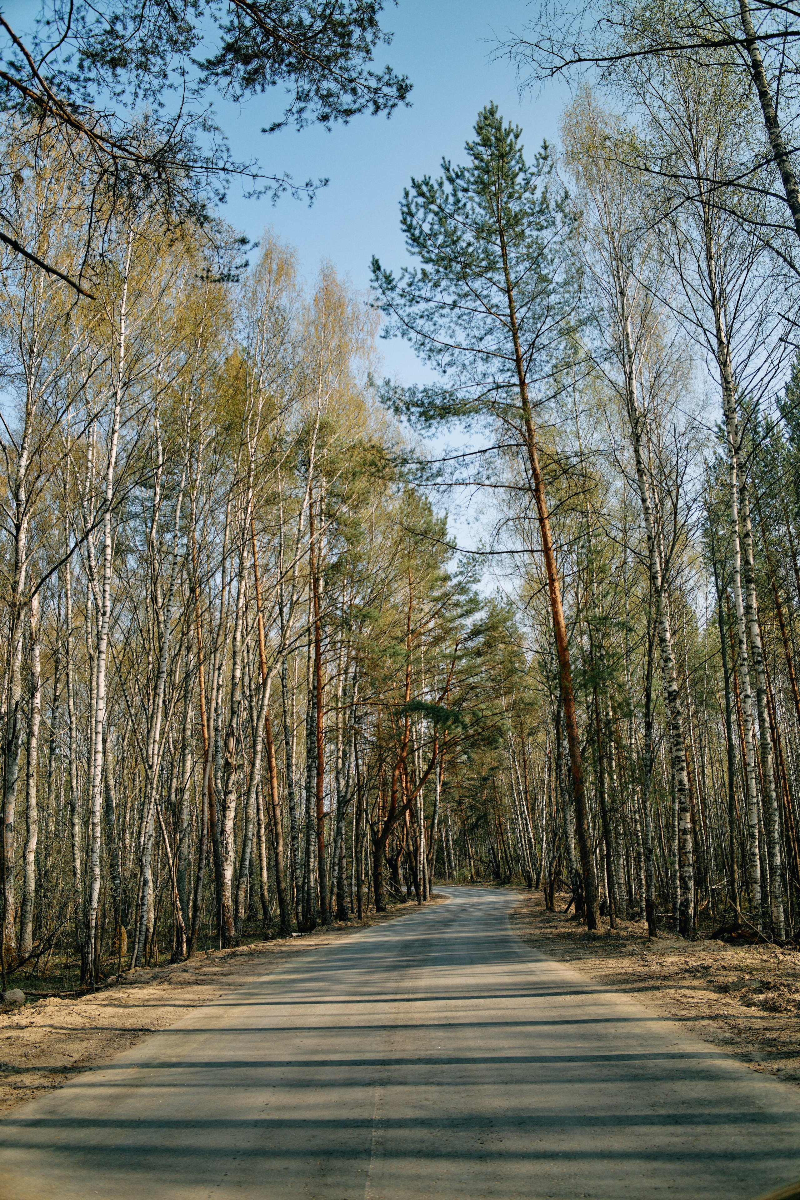 Бутик-отель Поле летом. Профессиональный Фотограф во Владимире, в Москве и в Суздале — Полина Романычева