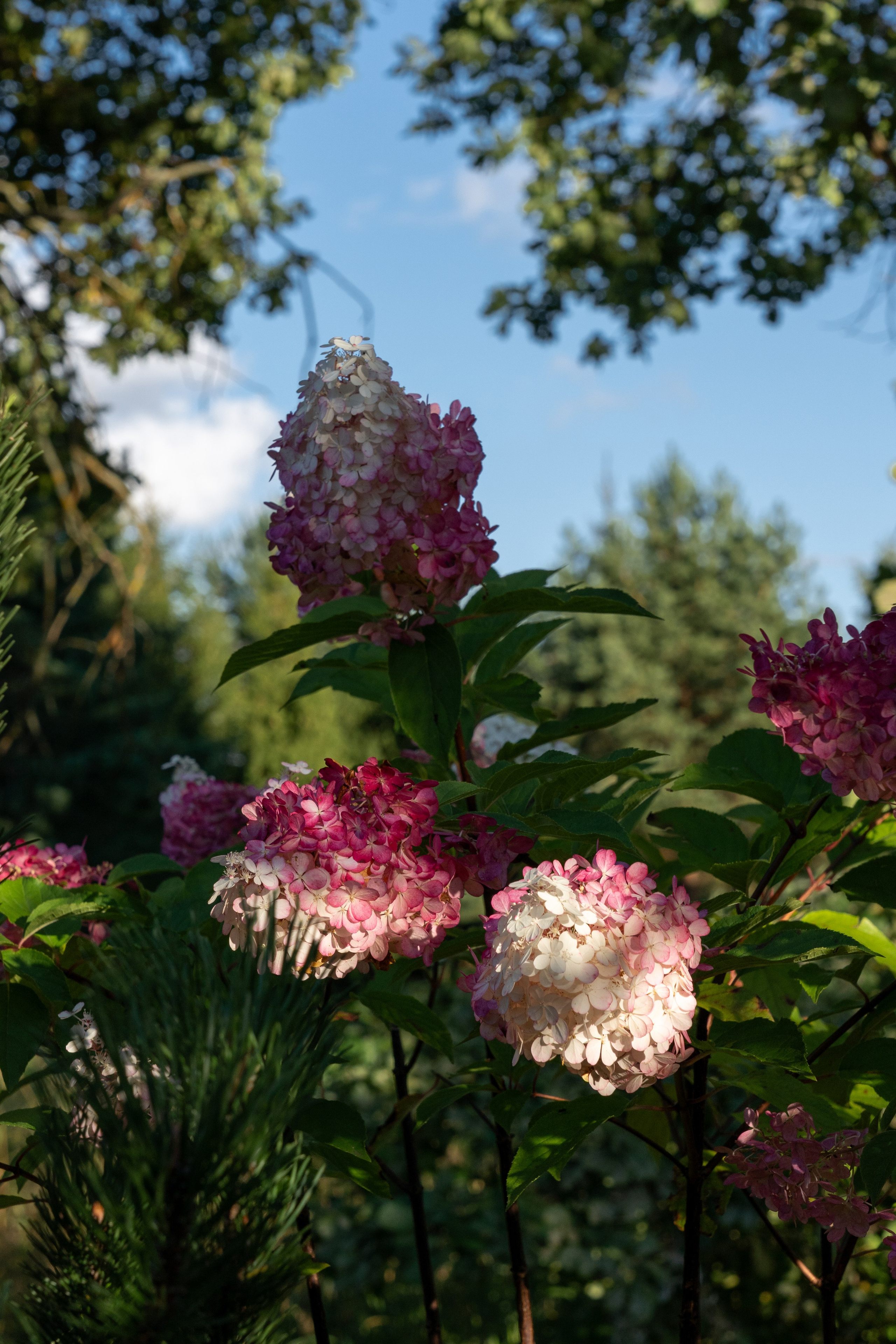 Private house, Moscow region. Артамонов Александр | Архитектурный и ландшафтный фотограф