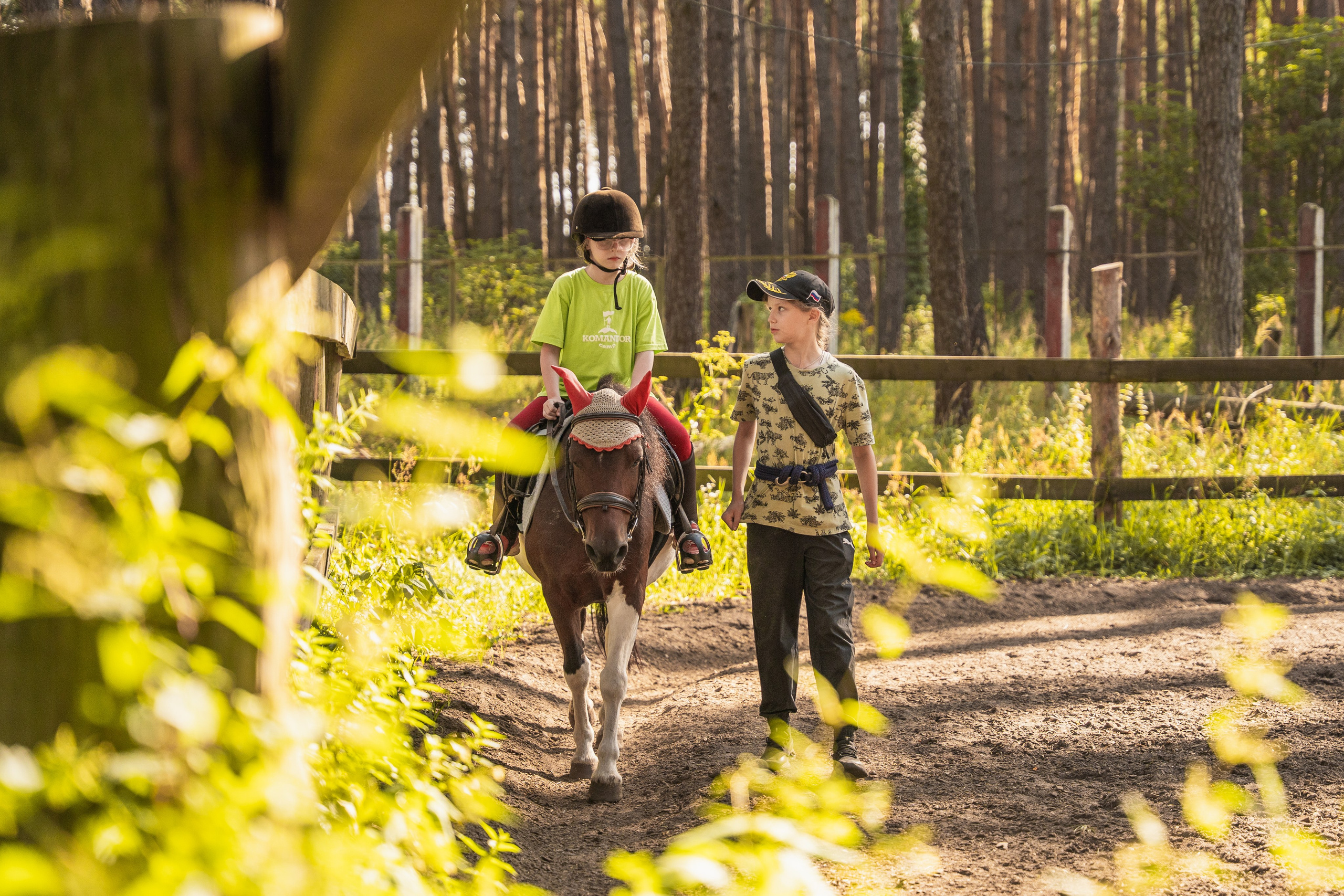Конное занятие. Главная