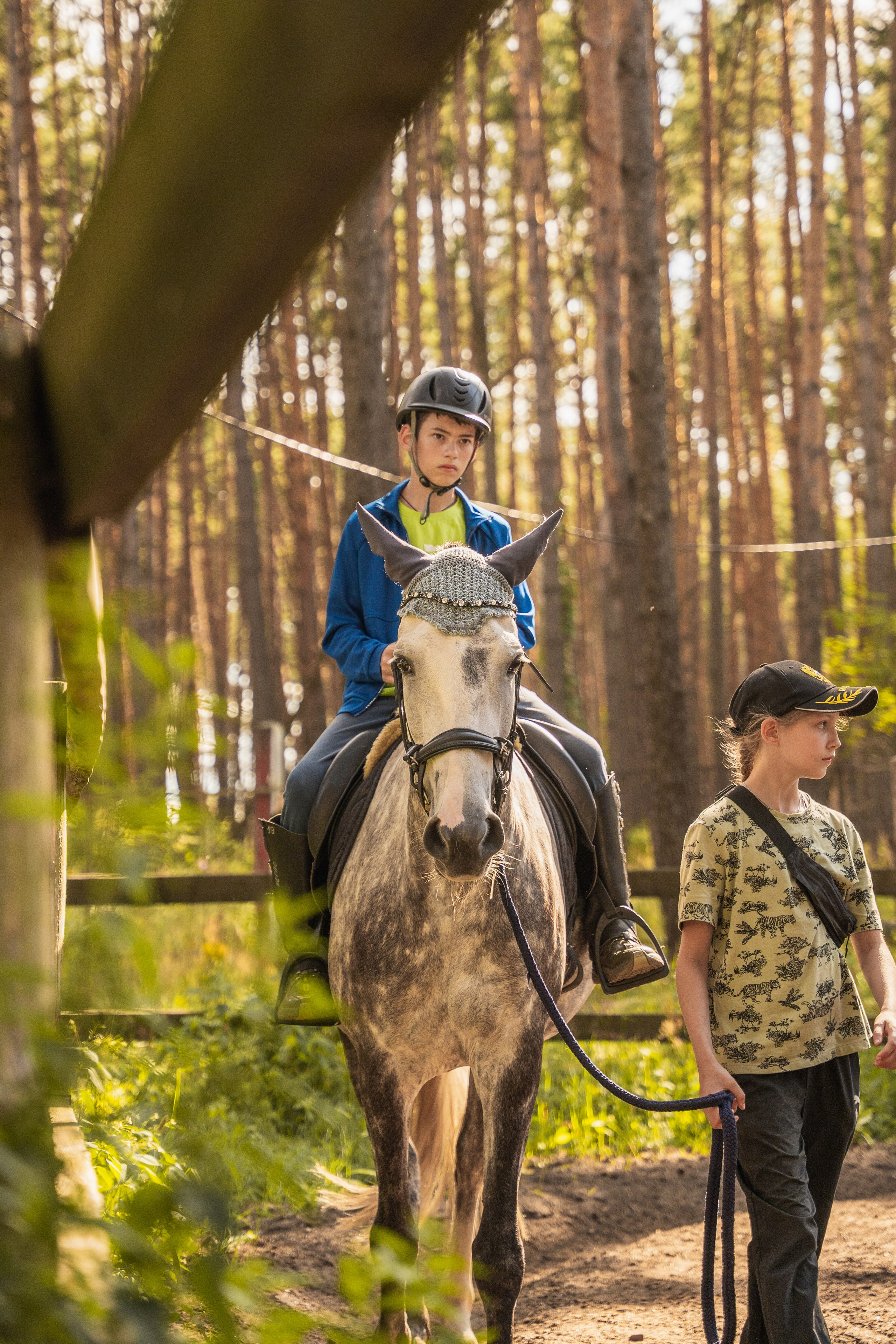 Конное занятие. Главная
