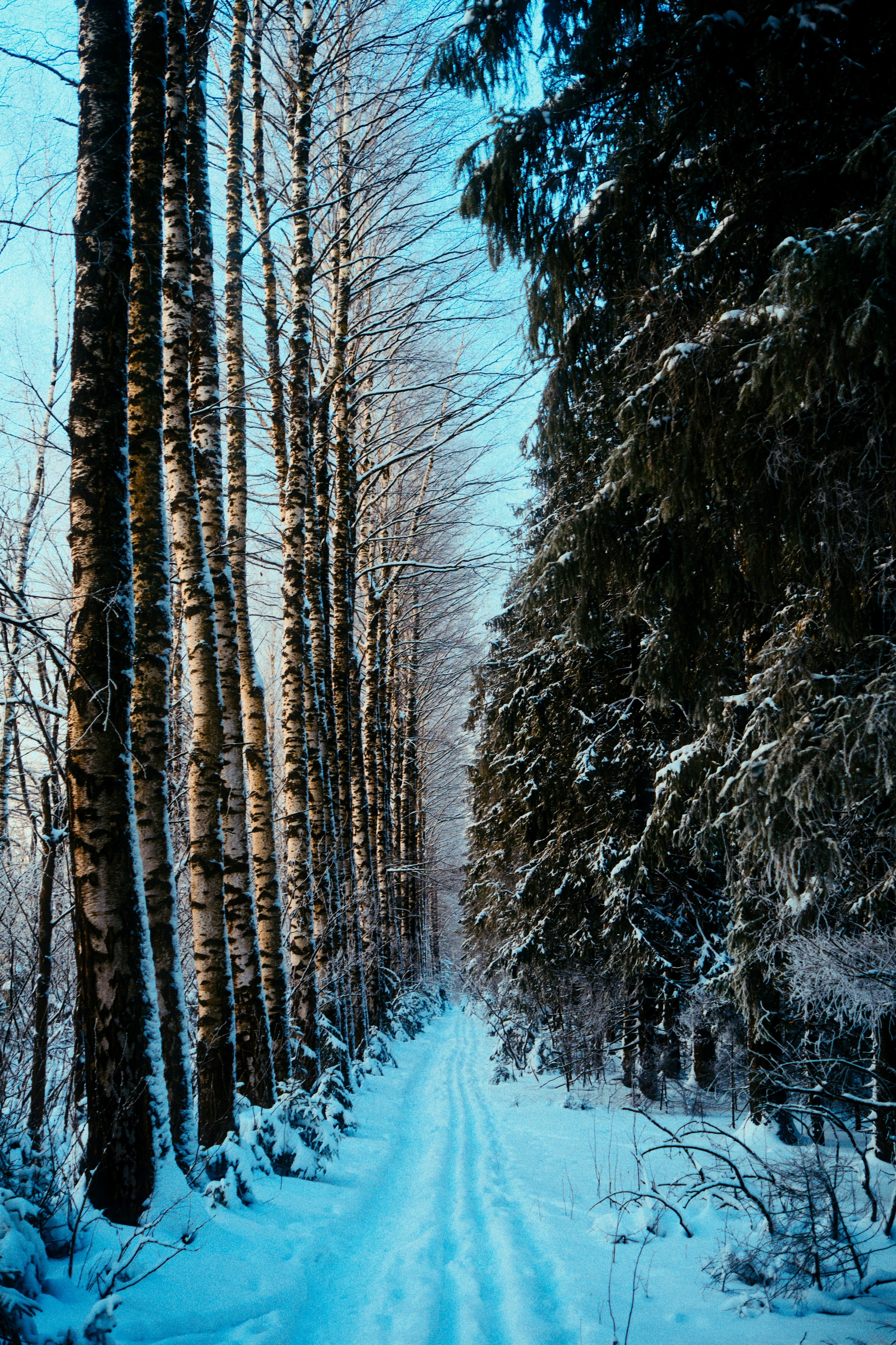 Пейзажи. Фотограф-любитель из Кирова Андрей Погребняк