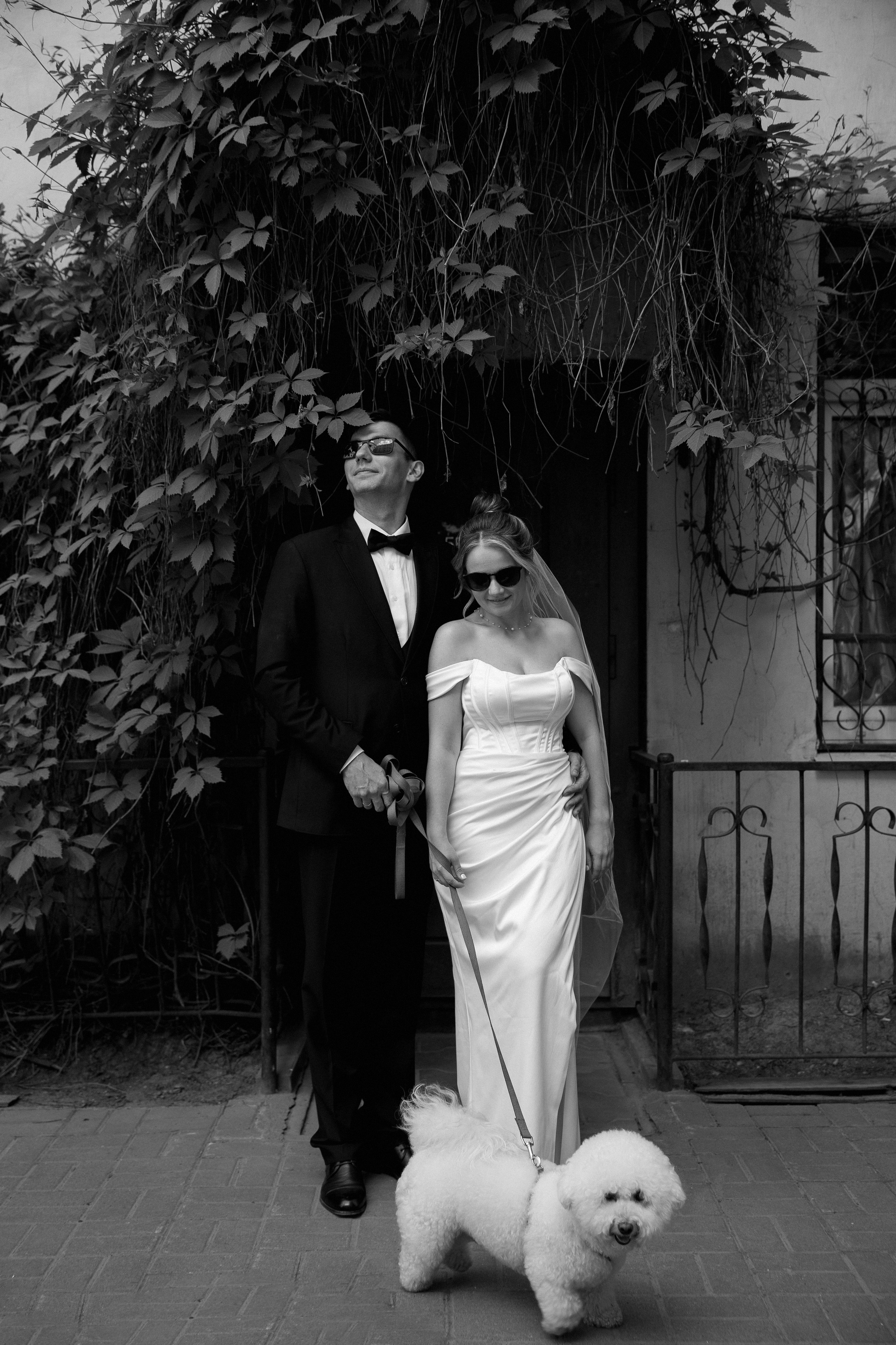 Портфолио. Майя Алиева Свадебный фотограф в Санкт-Петербурге