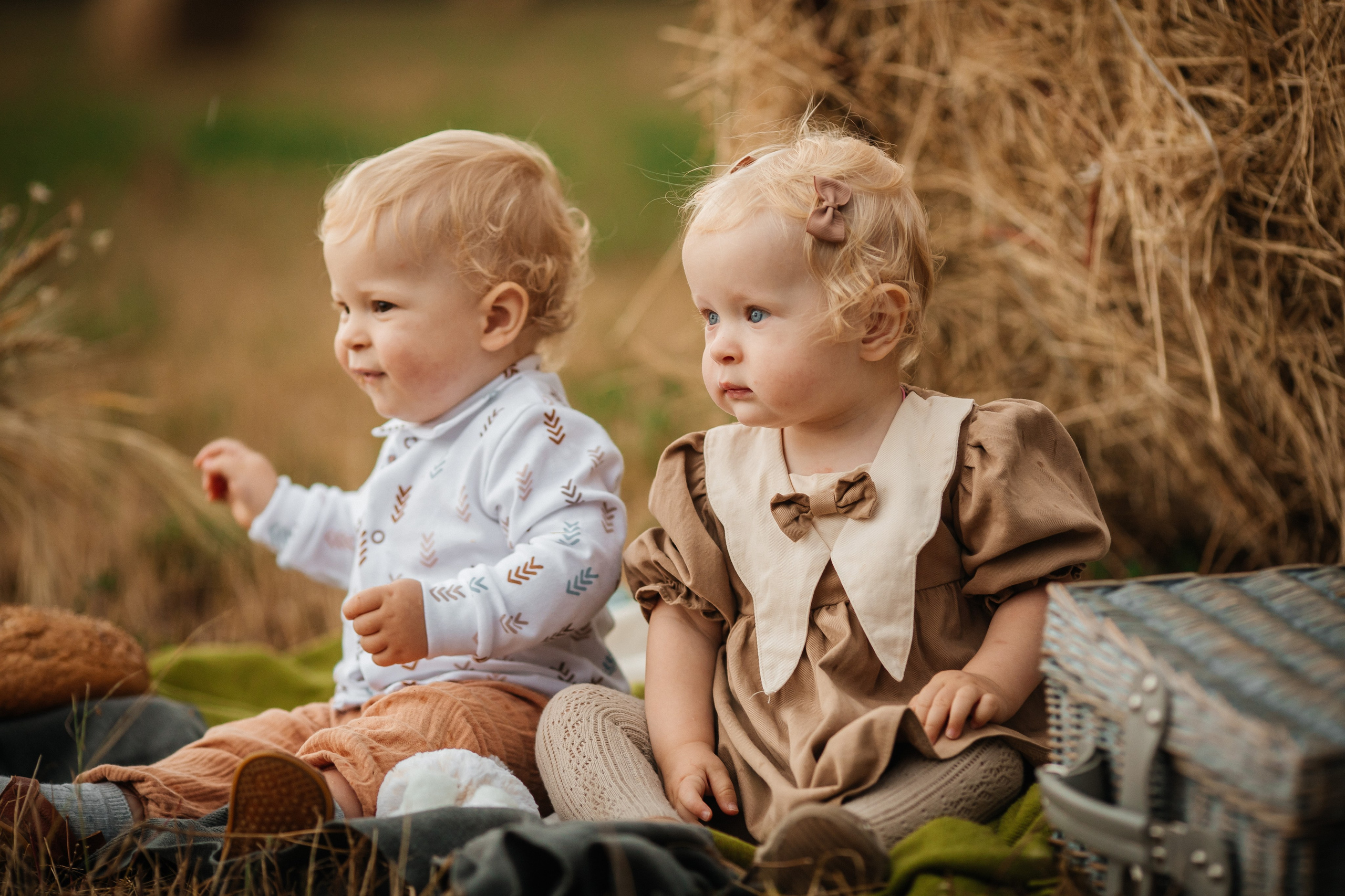 Лето на закате. Olga.filippova.photo