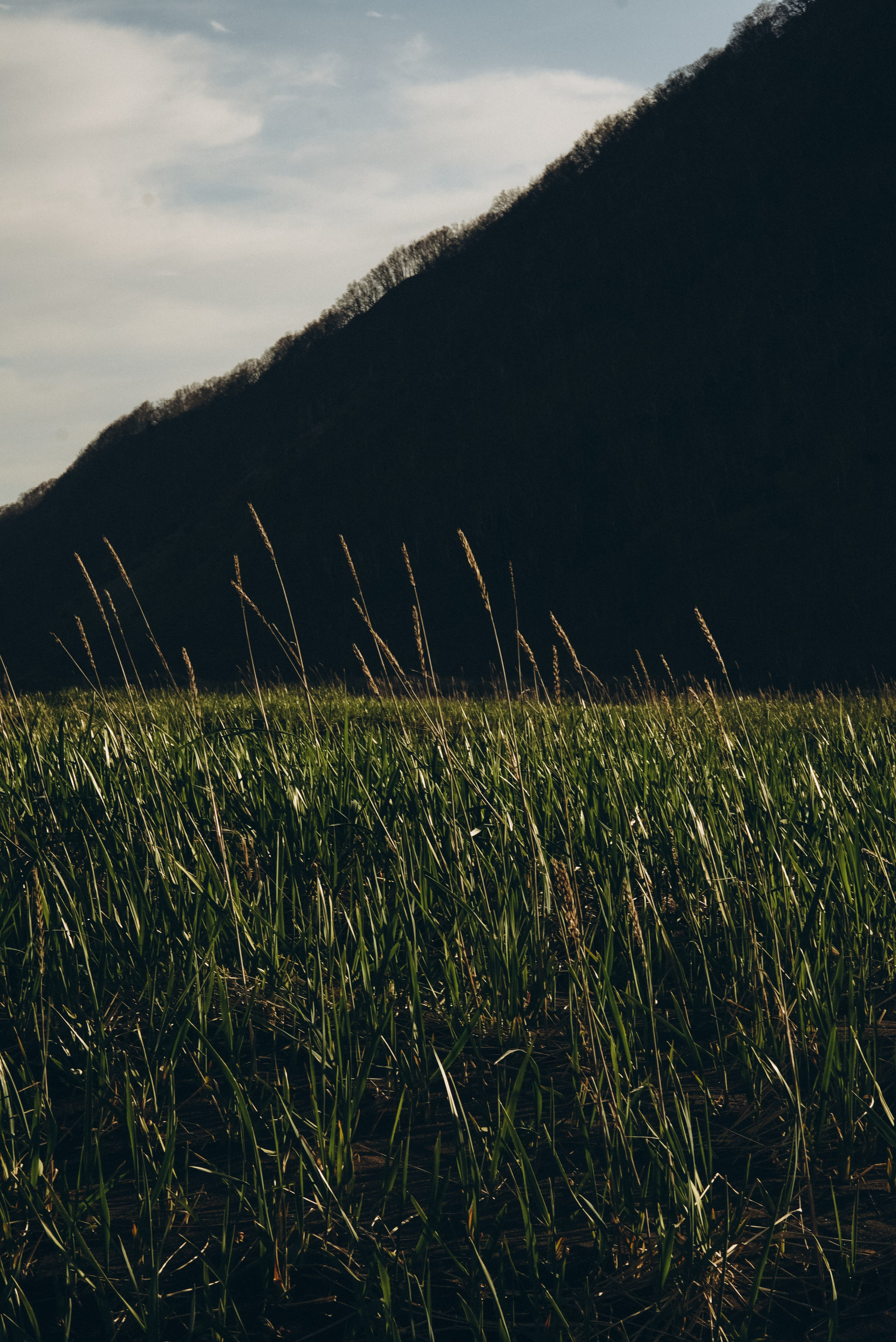 Индивидуальные. Фотограф на Камчатке Воронина Ульяна