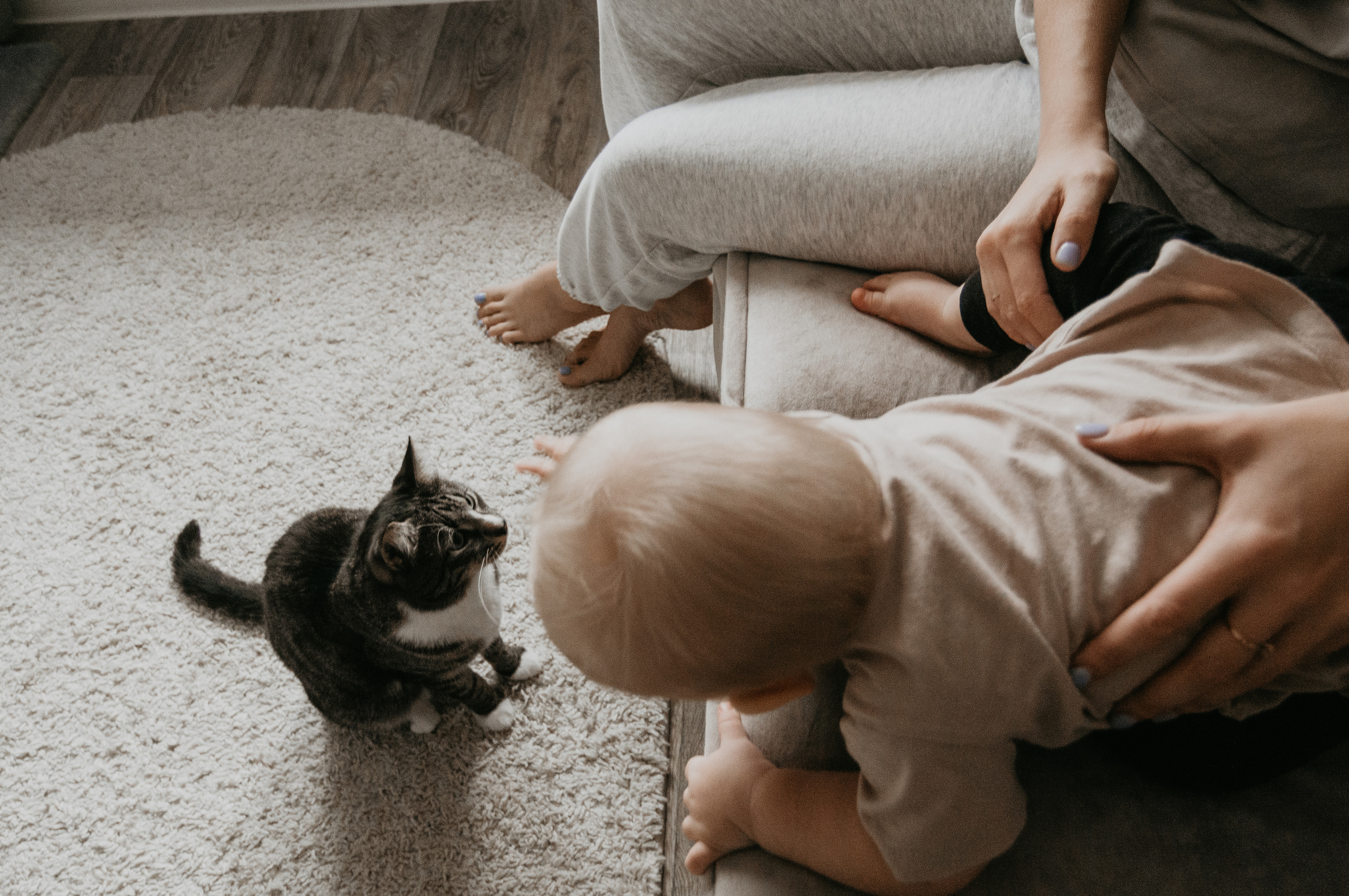 Домашняя семейная съёмка для Алины и Матвея. Свадебный и семейный фотограф г. Ярославль Савинская Анастасия