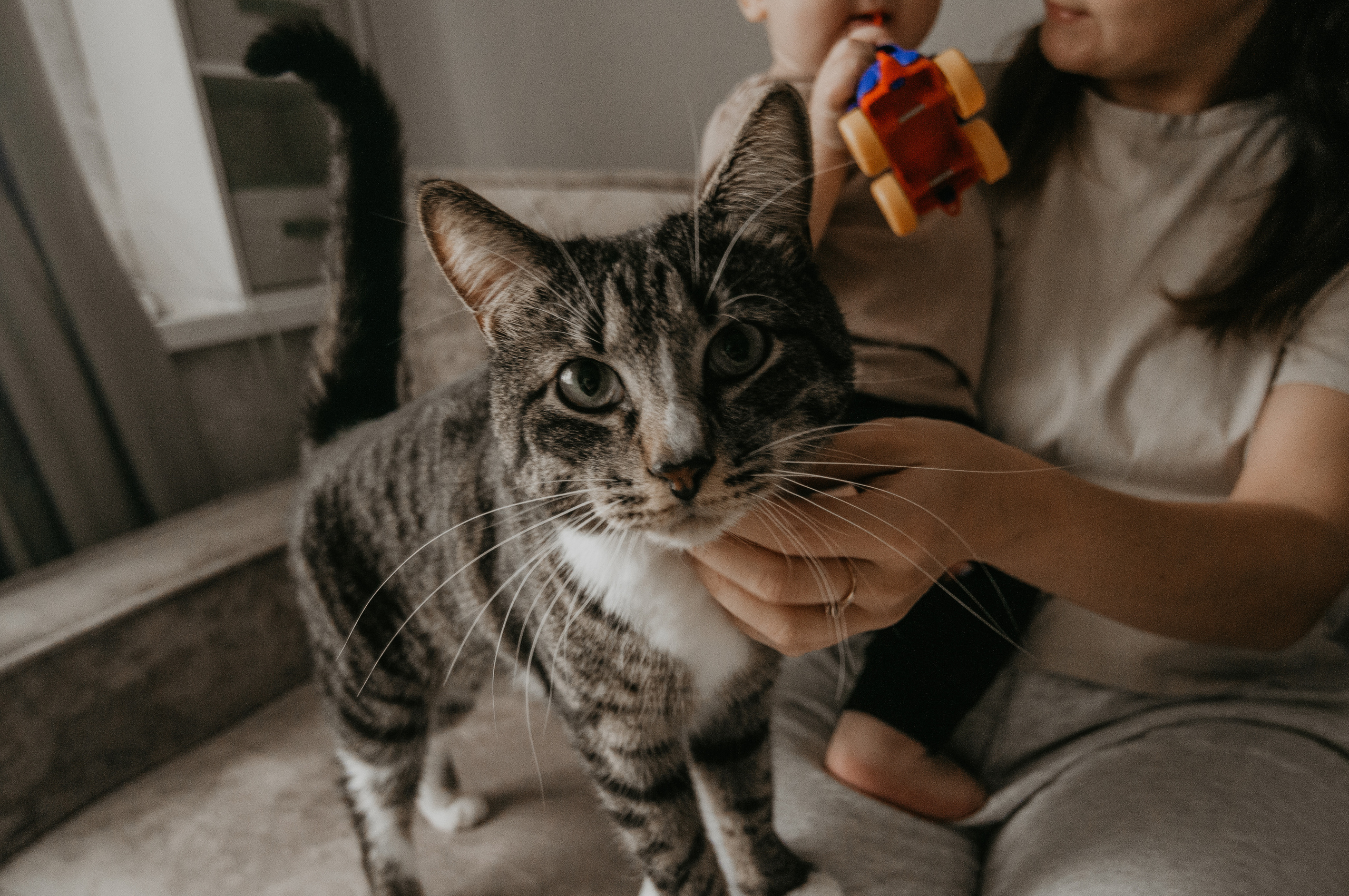 Домашняя семейная съёмка для Алины и Матвея. Свадебный и семейный фотограф г. Ярославль Савинская Анастасия