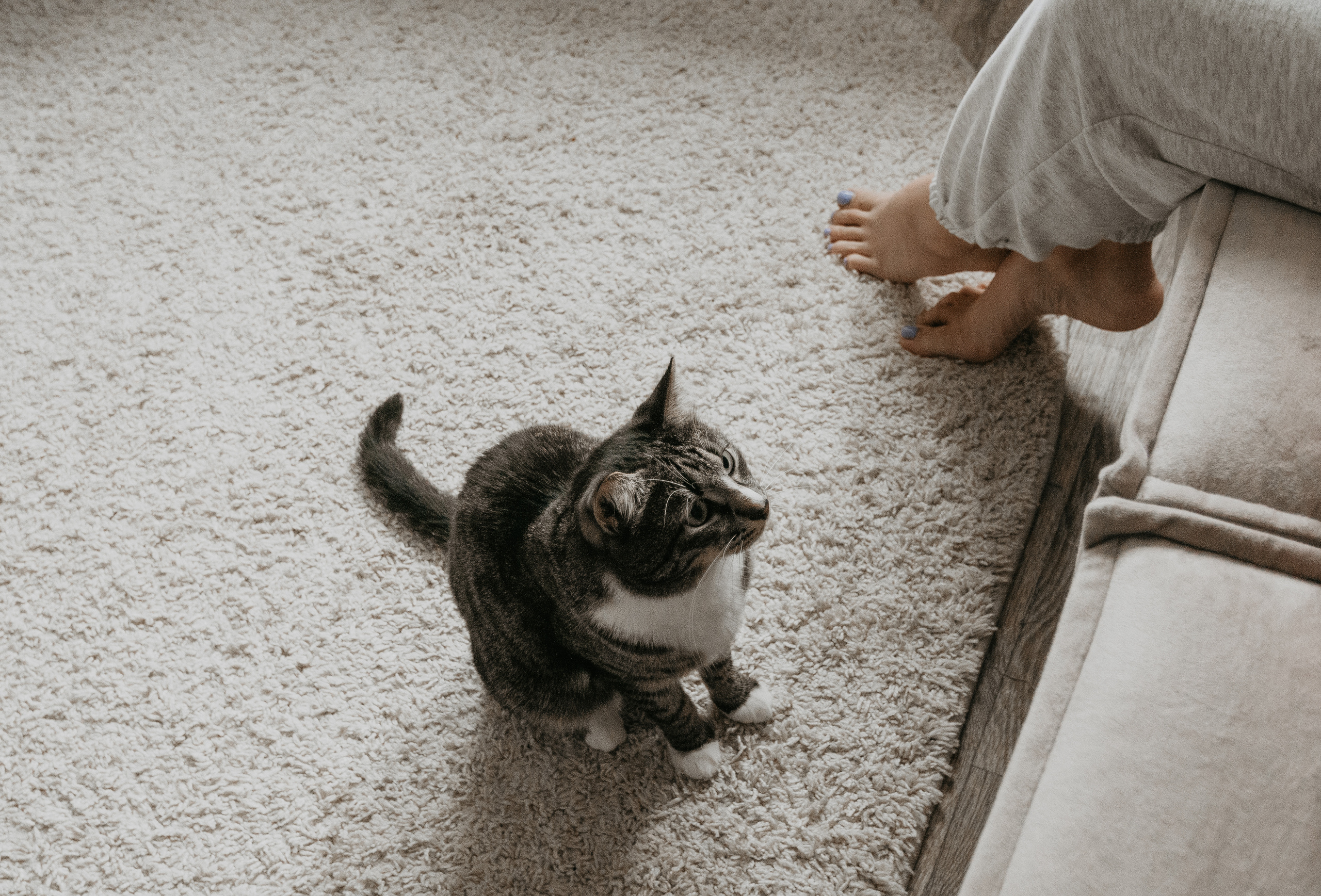 Домашняя семейная съёмка для Алины и Матвея. Свадебный и семейный фотограф г. Ярославль Савинская Анастасия