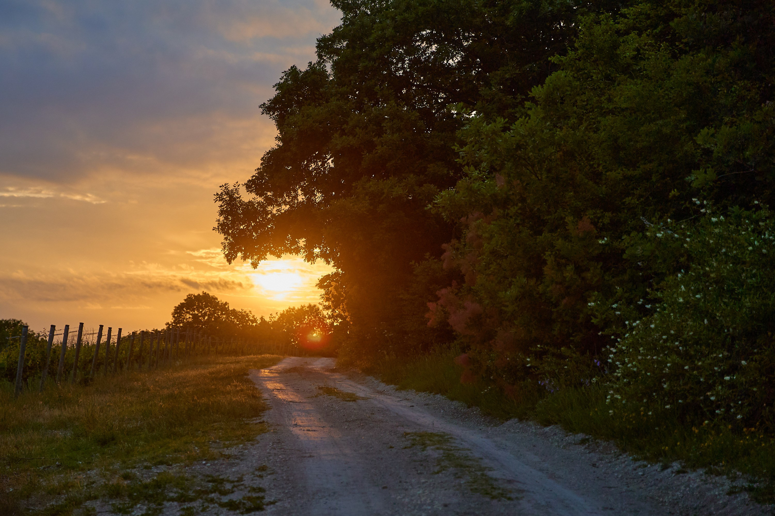 Galitsky & Galitsky. ПОЧЕМУ? СТУДИЯ