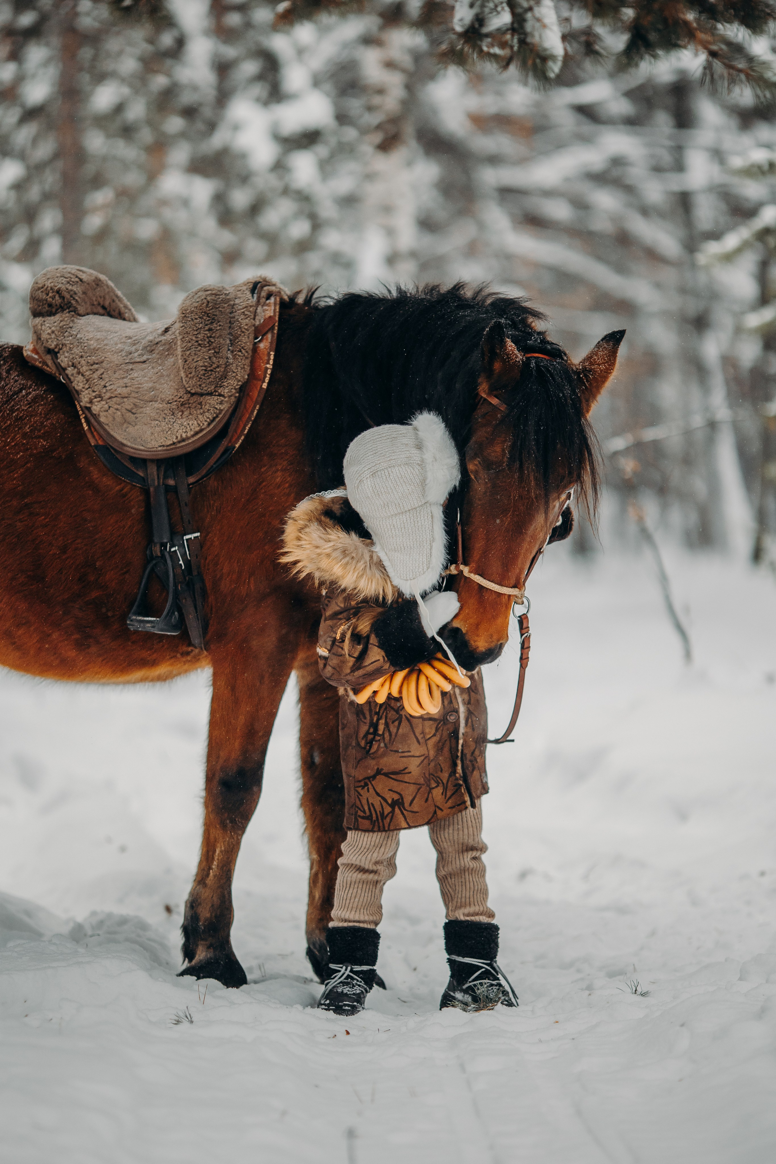 Тоша и баранки. Анна Молчанова конный фотограф в Тюмени | фотосессии с лошадьми Тюмень