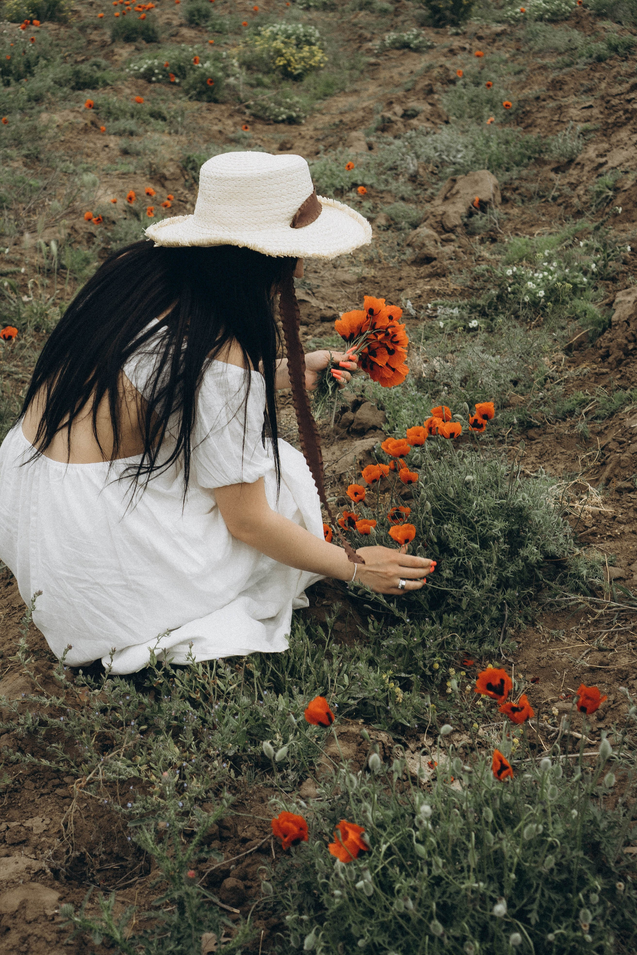Маковое поле. Профессиональный фотограф, Санкт-Петербург — Виктория Богомолова