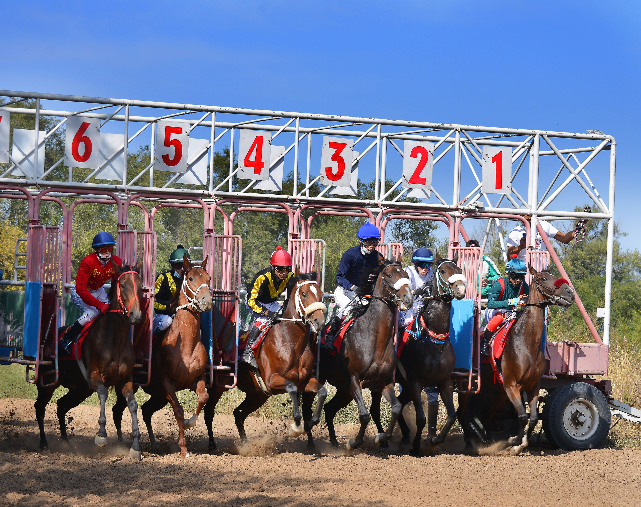 Скачки. Фотосъёмка. Фотограф Сергей Авдеев-семейный и детский фотограф в Алматы
