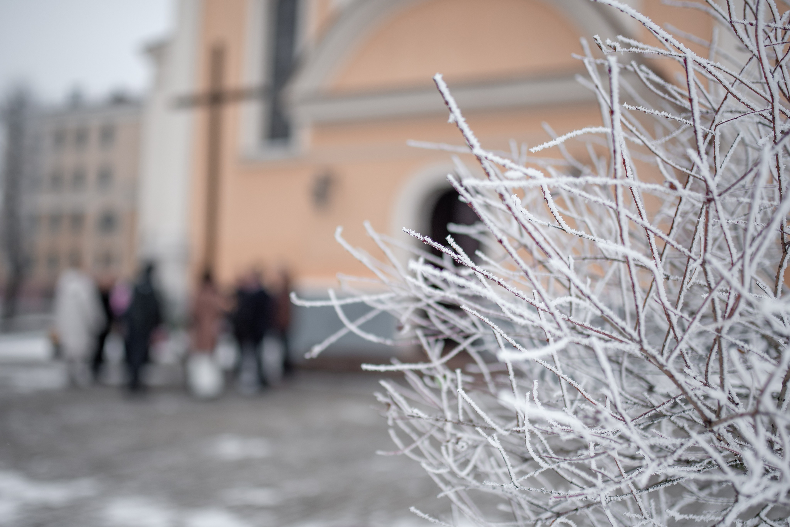 Венчание. Роман и Галина. Фотограф Марта Козел. Гродно, Беларусь