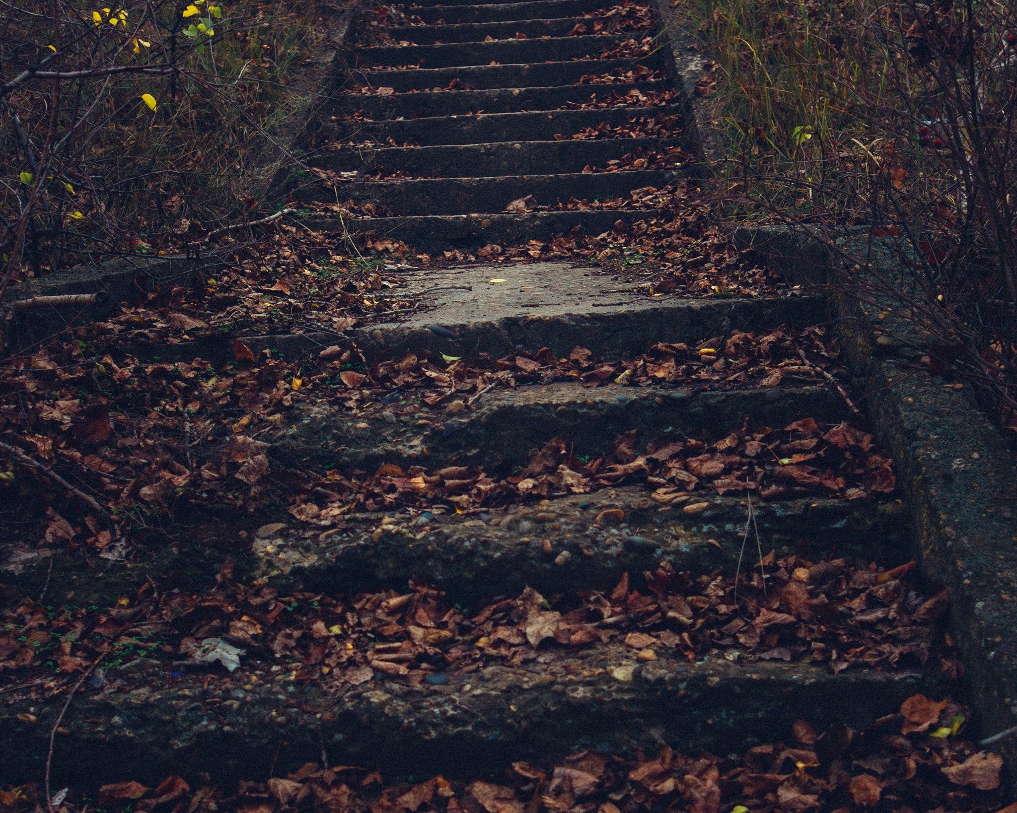Left behind. Андрей Сливенко. Свадебный фотограф и видеограф в Волгодонске и Ростове-на-Дону