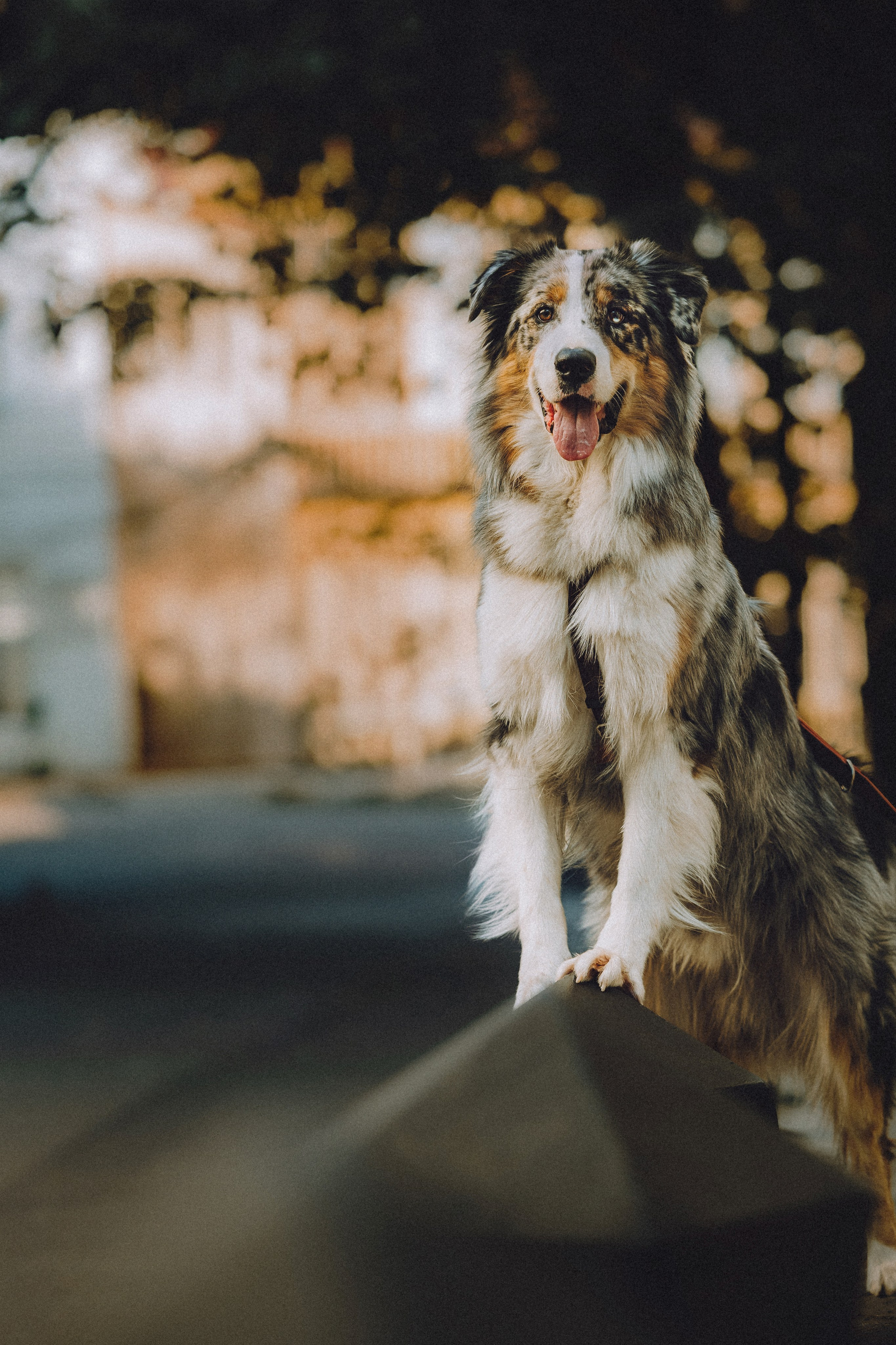 Саша, Рома и Один