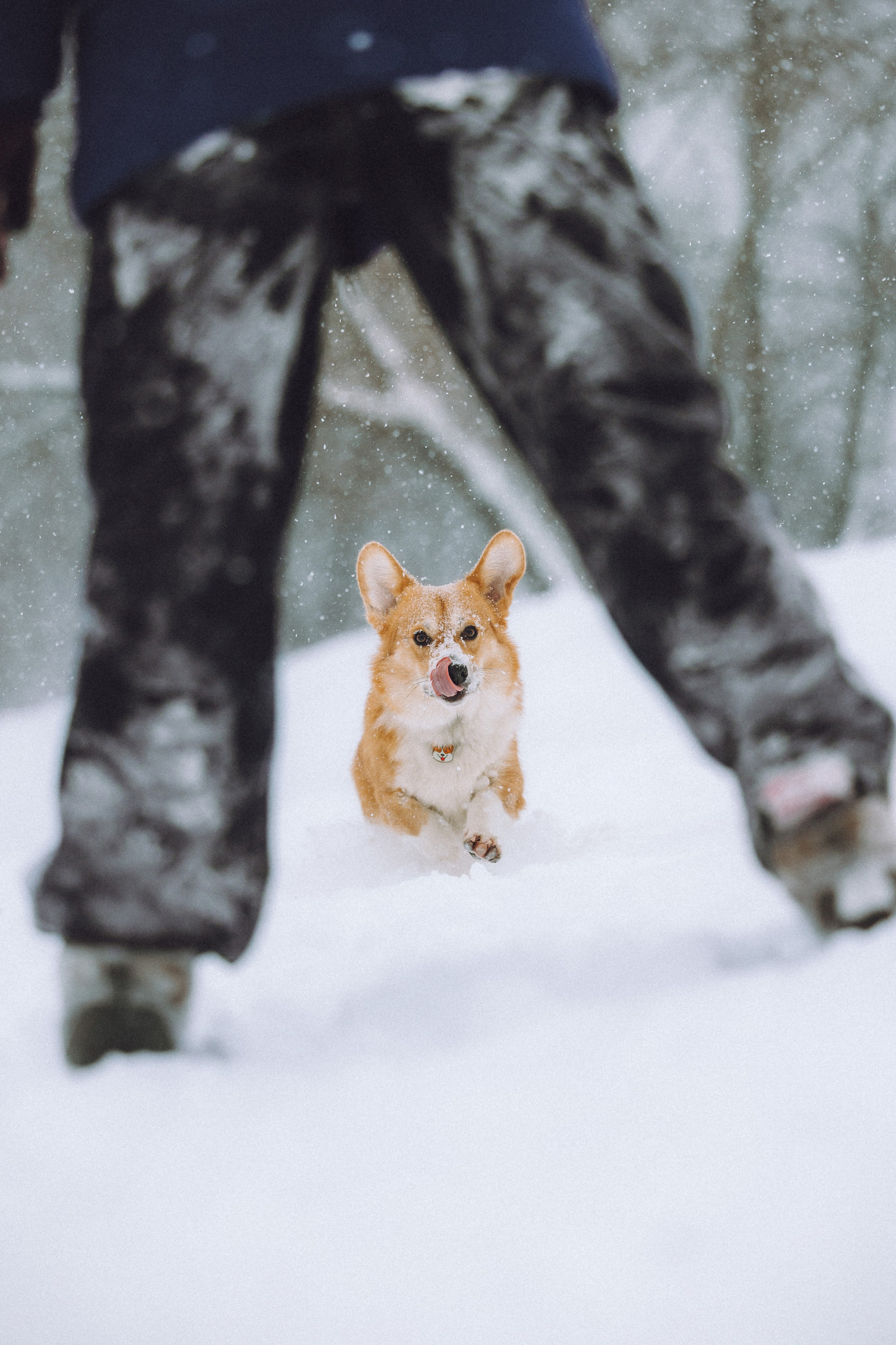 Юля и Юпитер