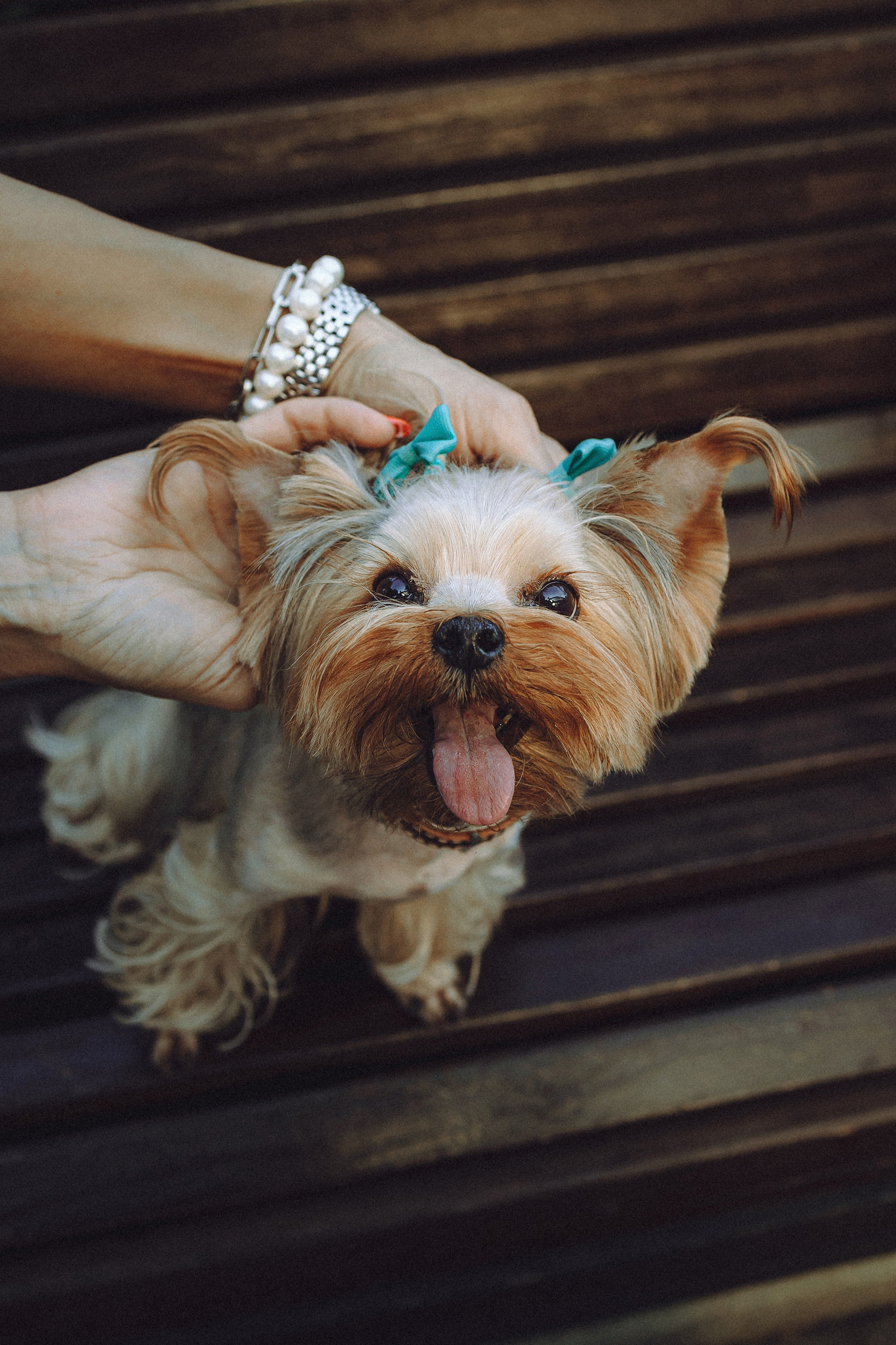 Дженни, Оливия и их семья