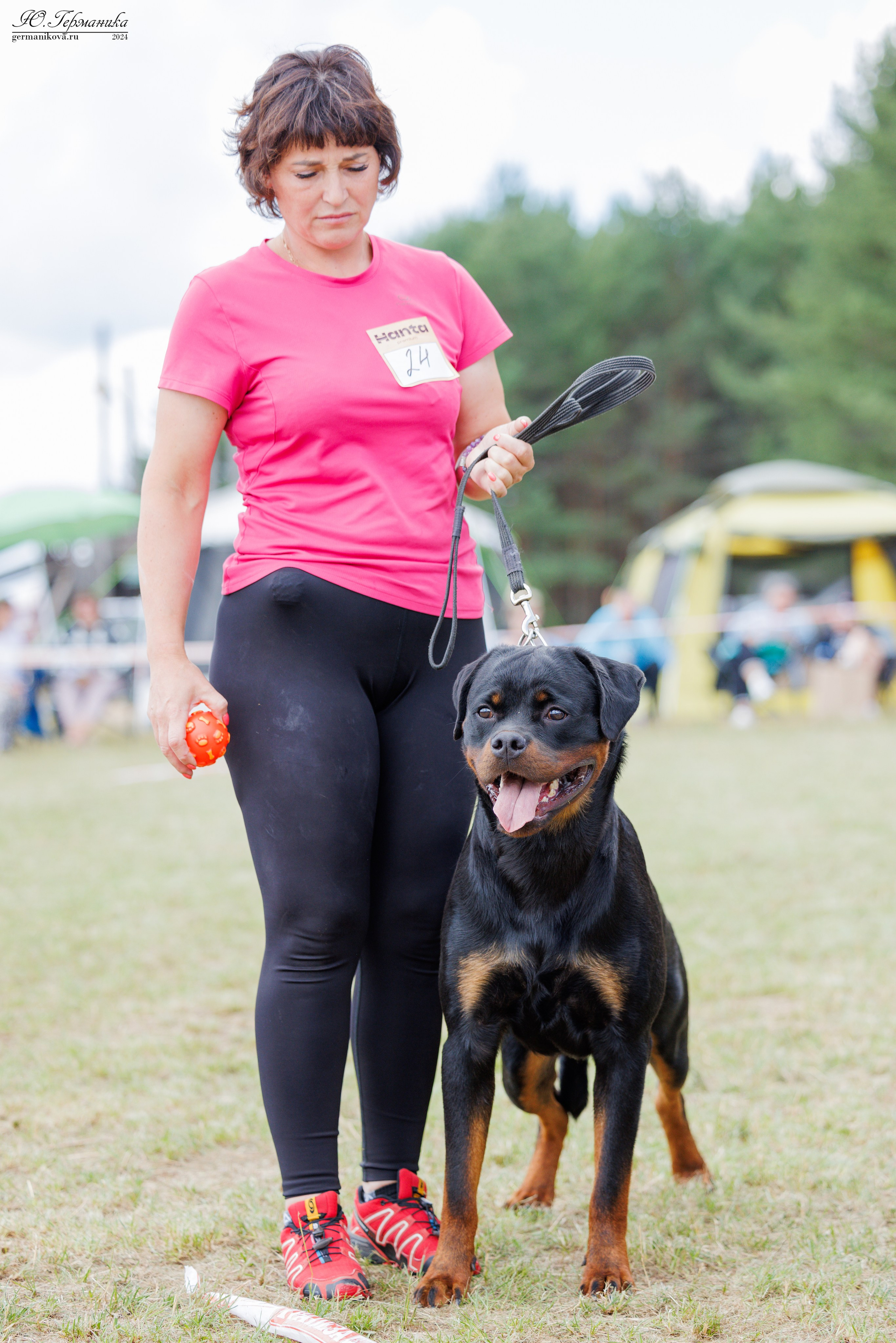 ПК и КЧК ротвейлеры Тверь 6-7.07.2024. Фотограф-анималист Юлия Германика
