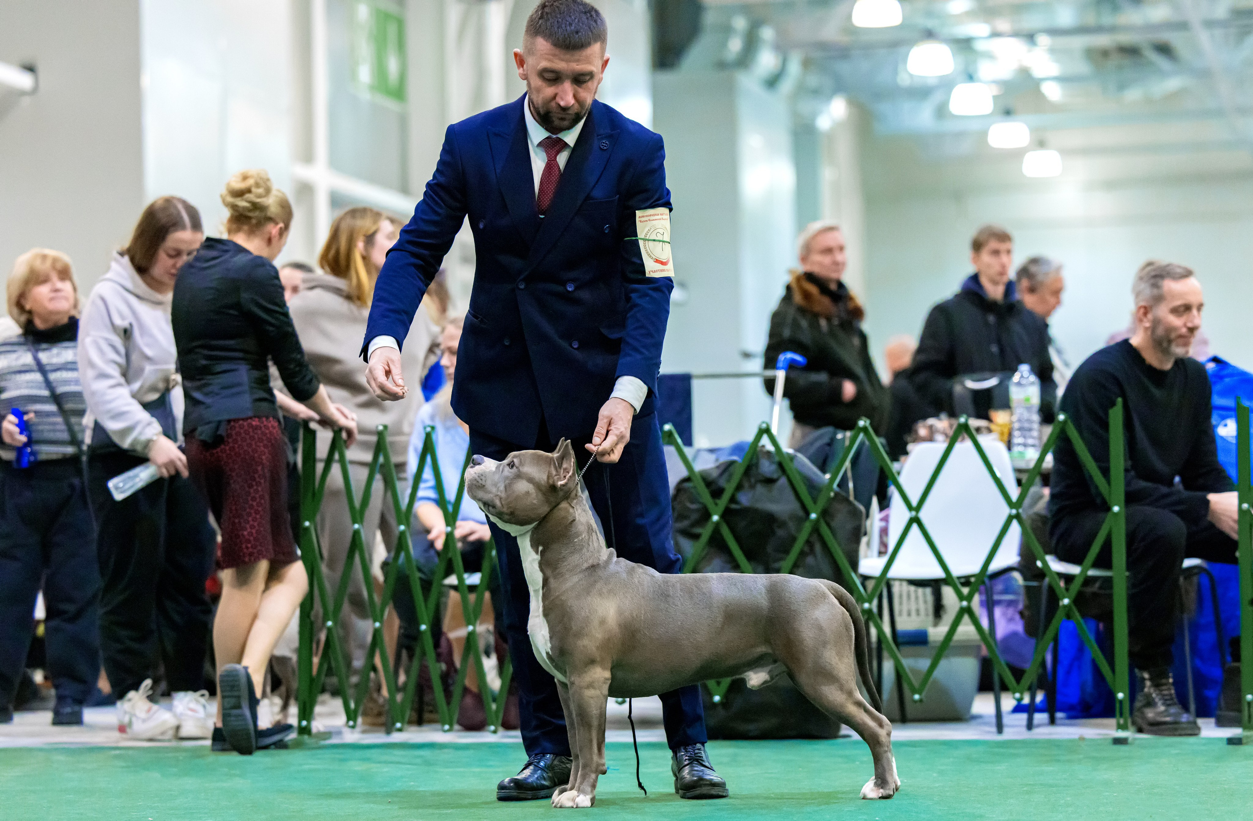 Крокус 3,9 и 10.12.2023. Фотограф-анималист Юлия Германика