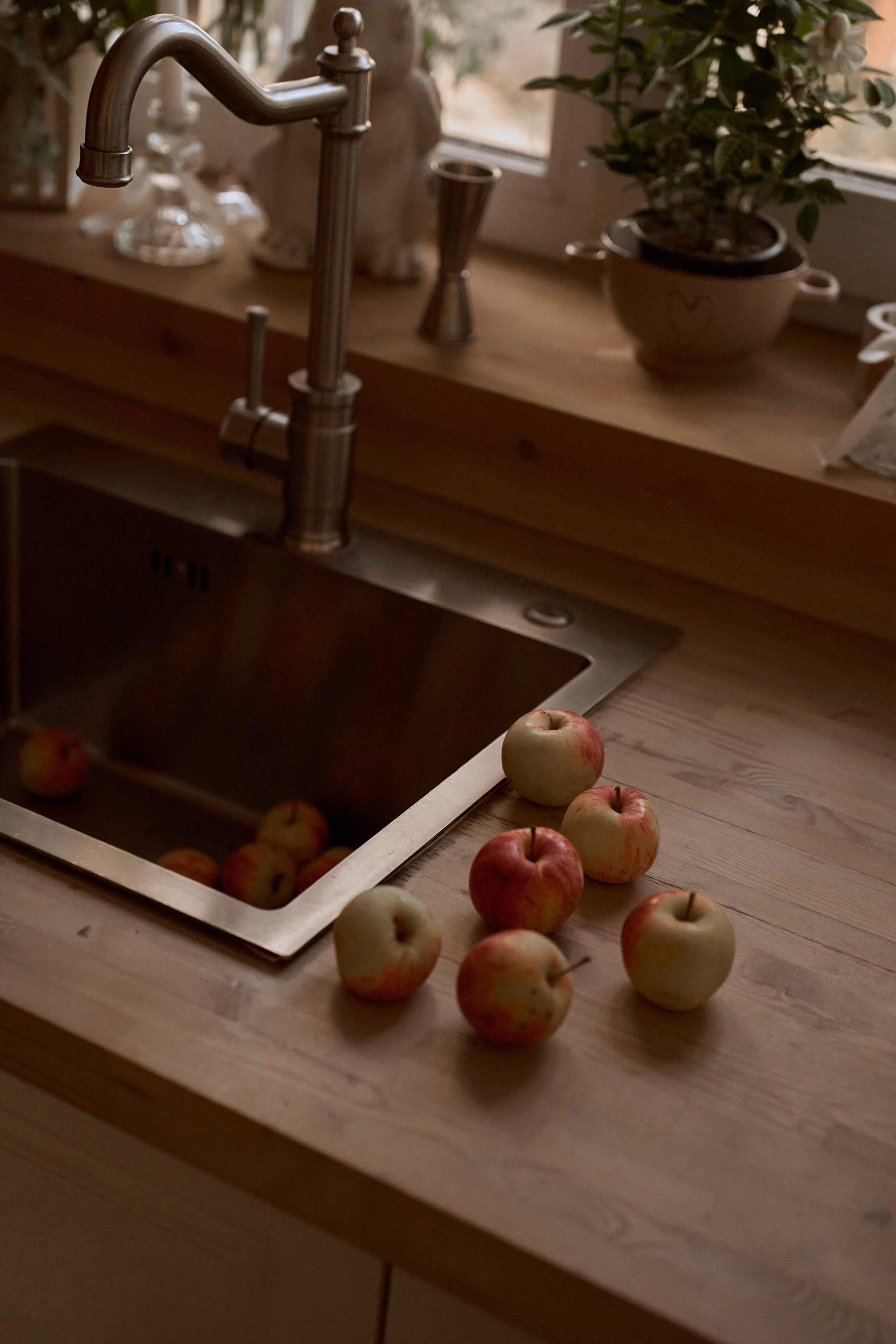 В сказке. Ваш фотограф Анастасия Болотникова