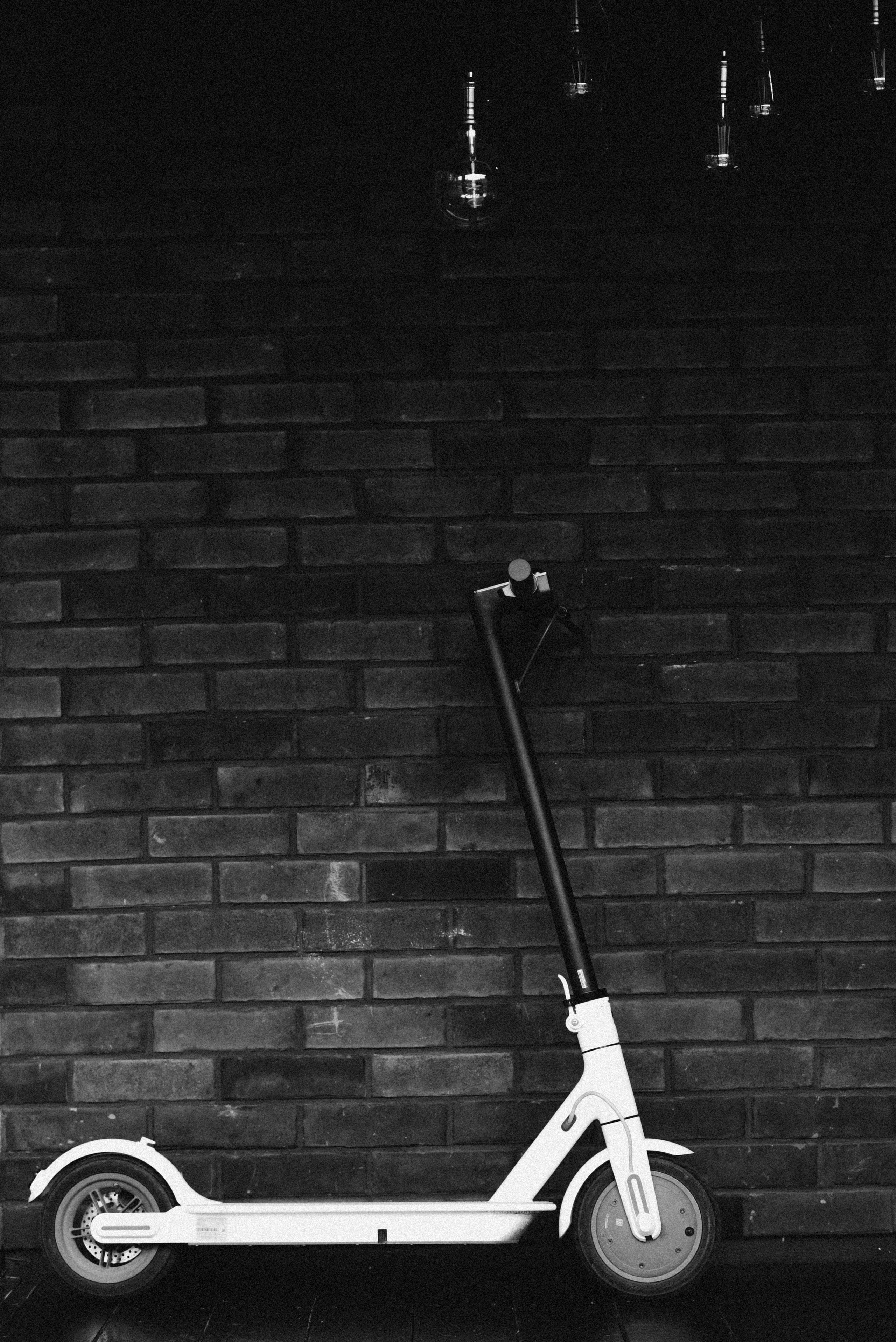 Green house. Фотограф, визажист. Москва