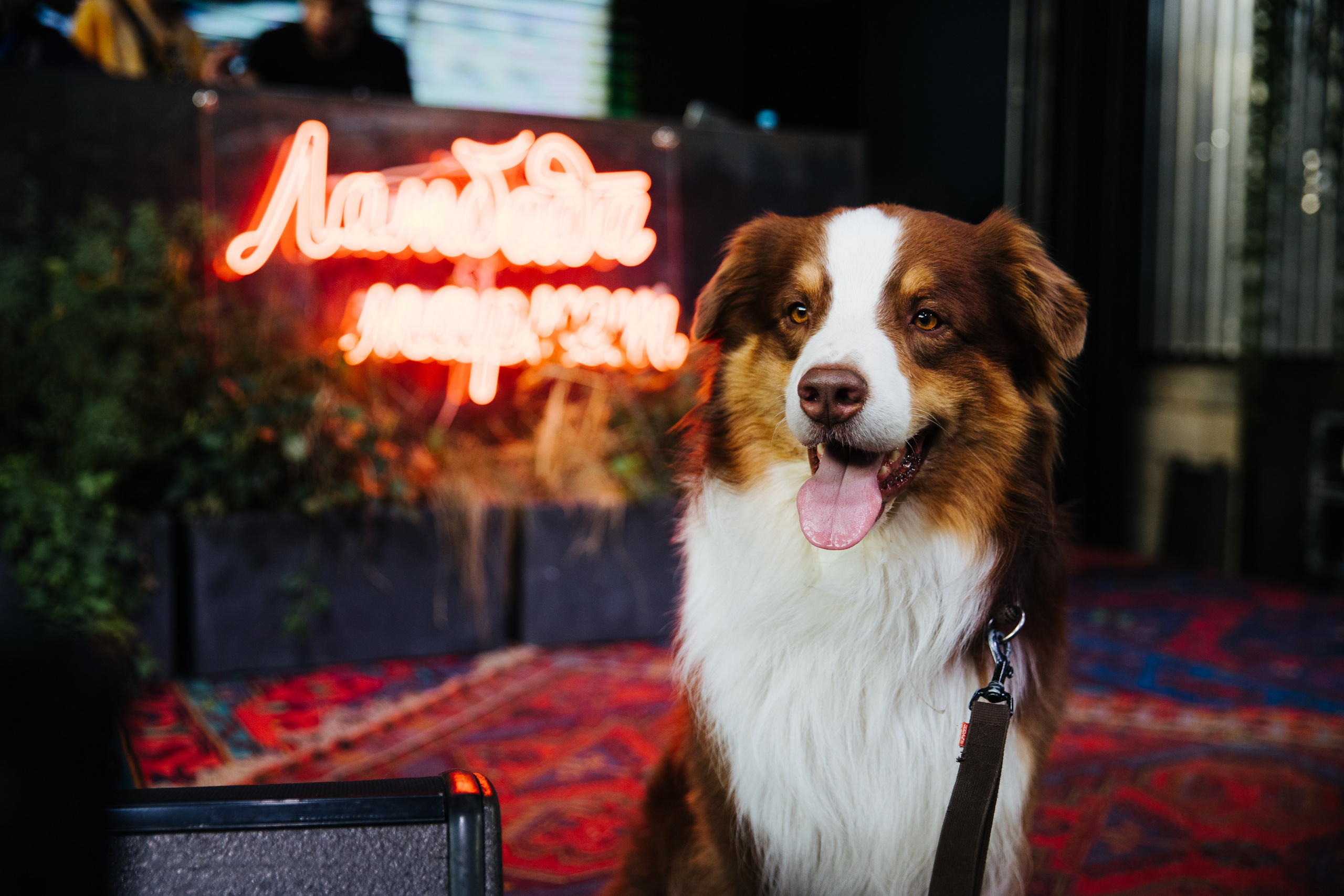 14–15 августа 2021 в «Стрелке». Фотоотчеты «Ламбада-маркета»