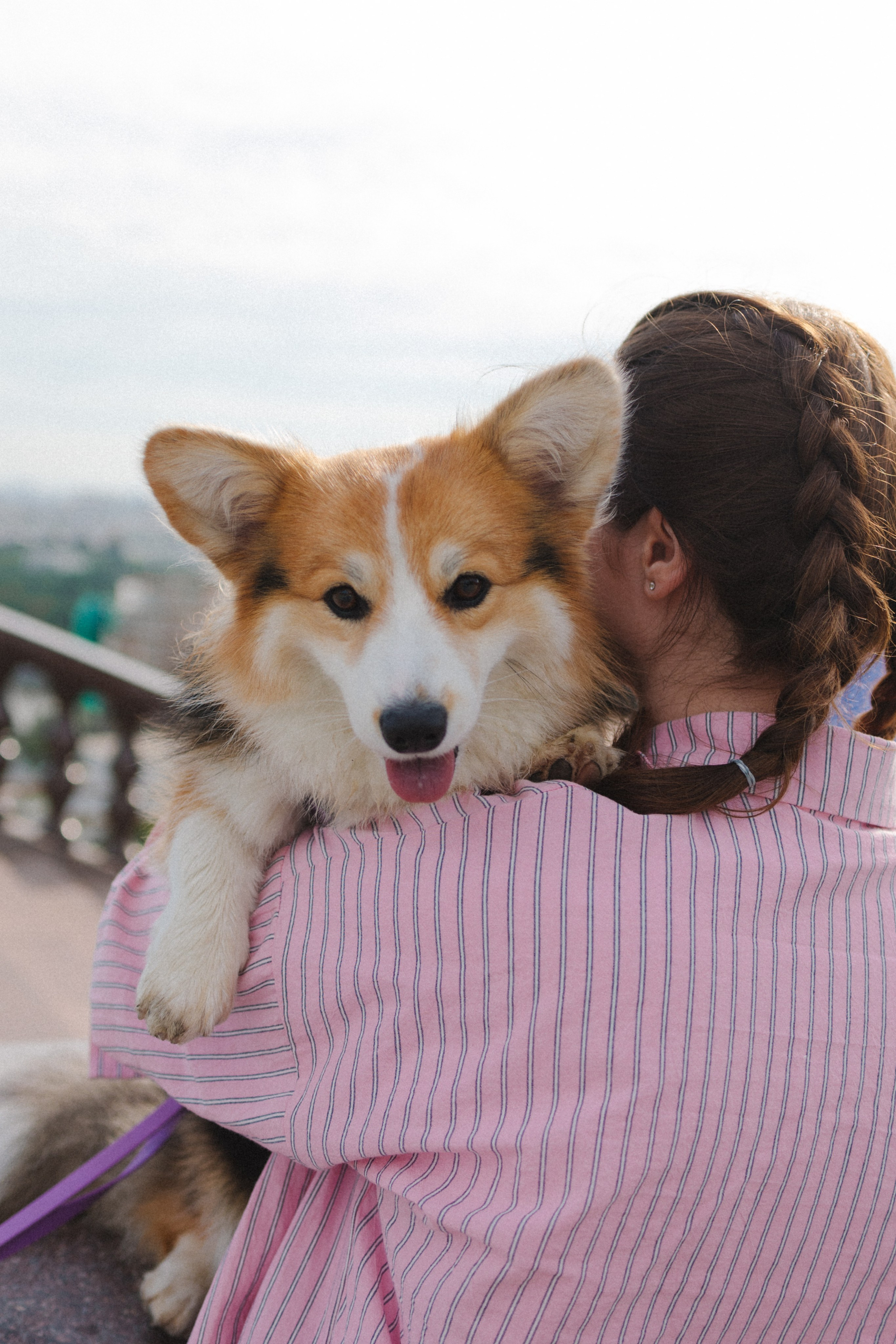 Мишель и Влада. Фотораф — анималист Мария Шистка