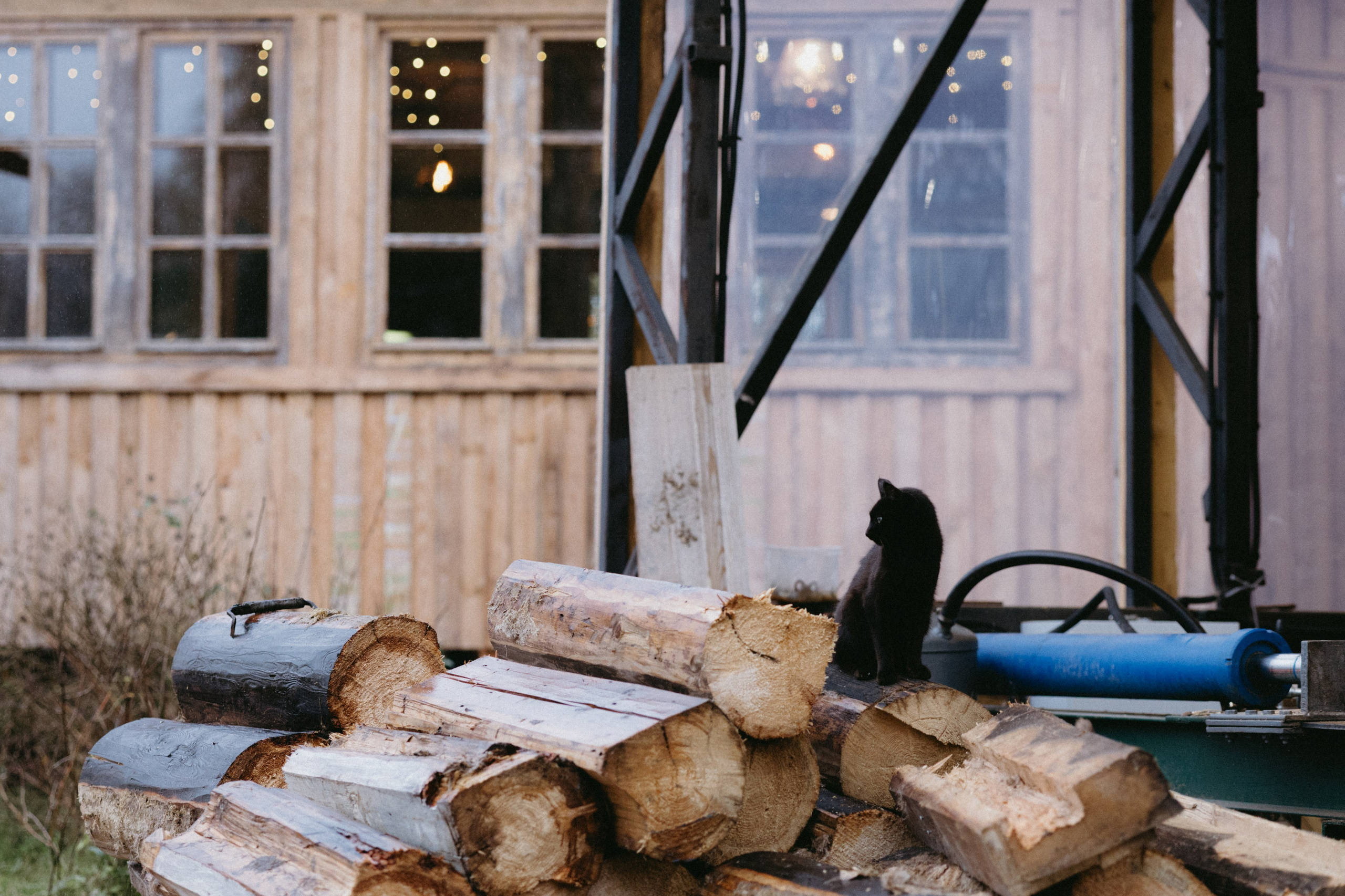 Новые земли. Про любовь