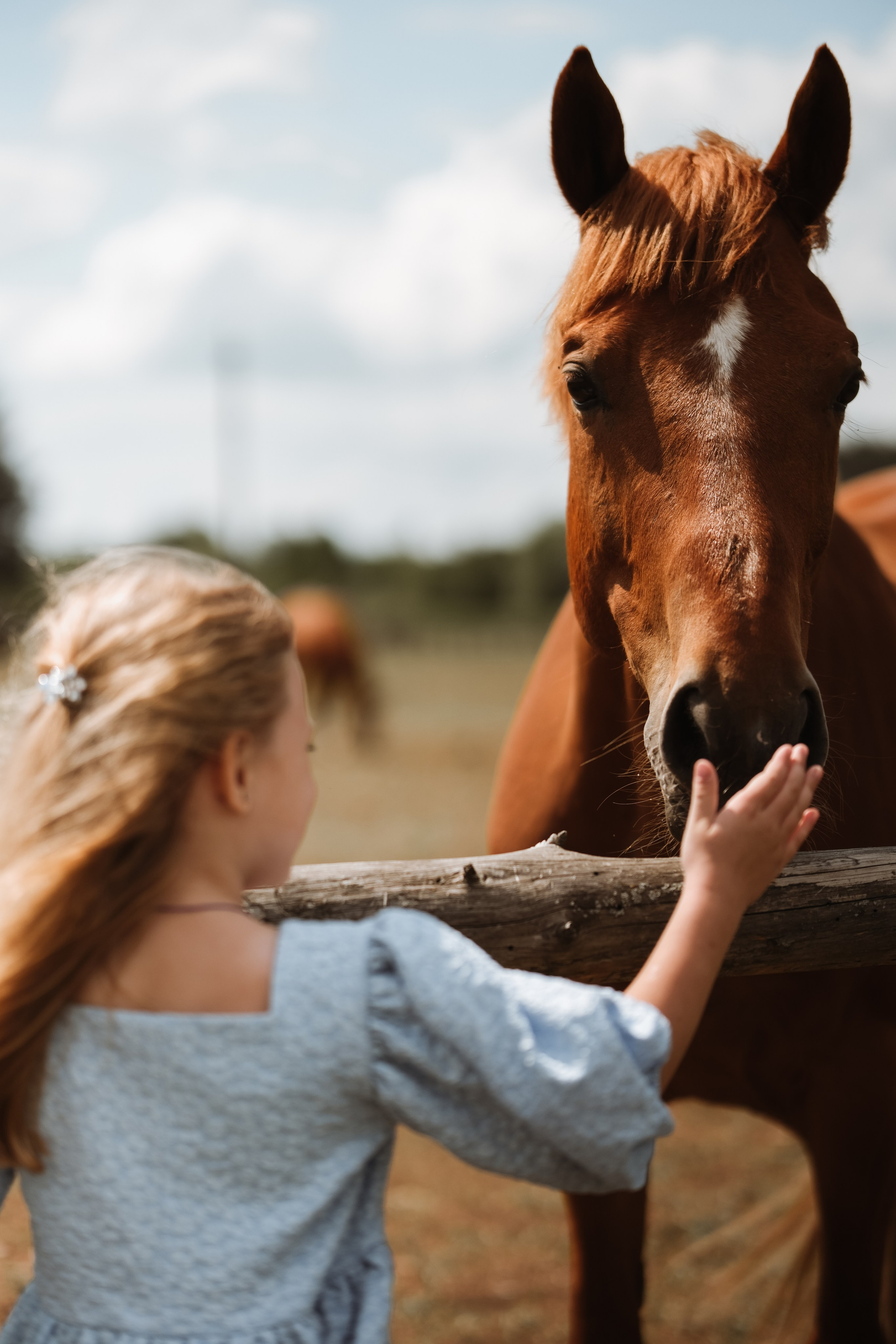 Фотосессия для деовчек!. Фотограф новорожденных в Брянске Анжелика Прохоренкова