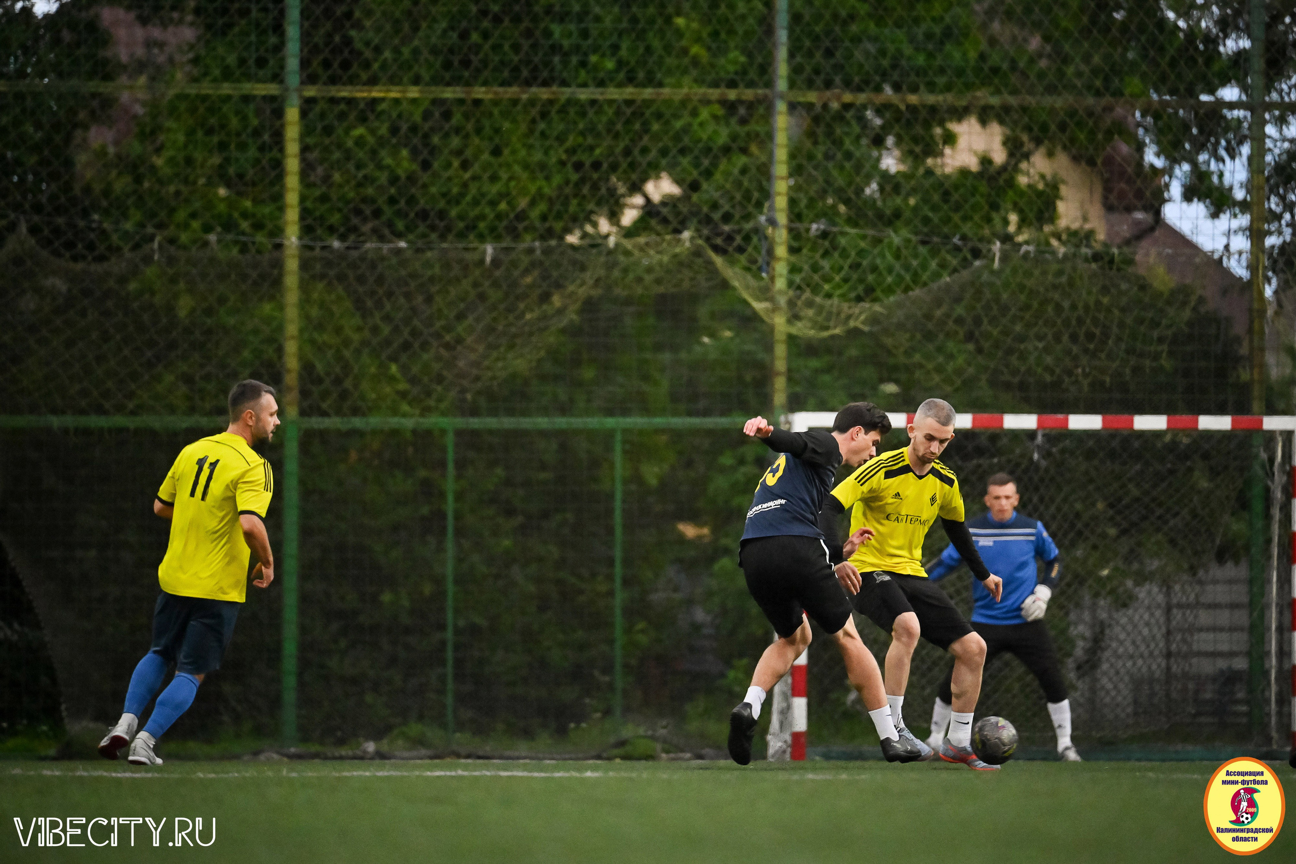 ИГРЫ МИНИ-ФУТБОЛЬНОЙ И КОРПОРАТИВНОЙ ЛИГИ. VIBECITY.RU Вайб Сити Ру Фоторепортажи Фотоотчеты Калининград