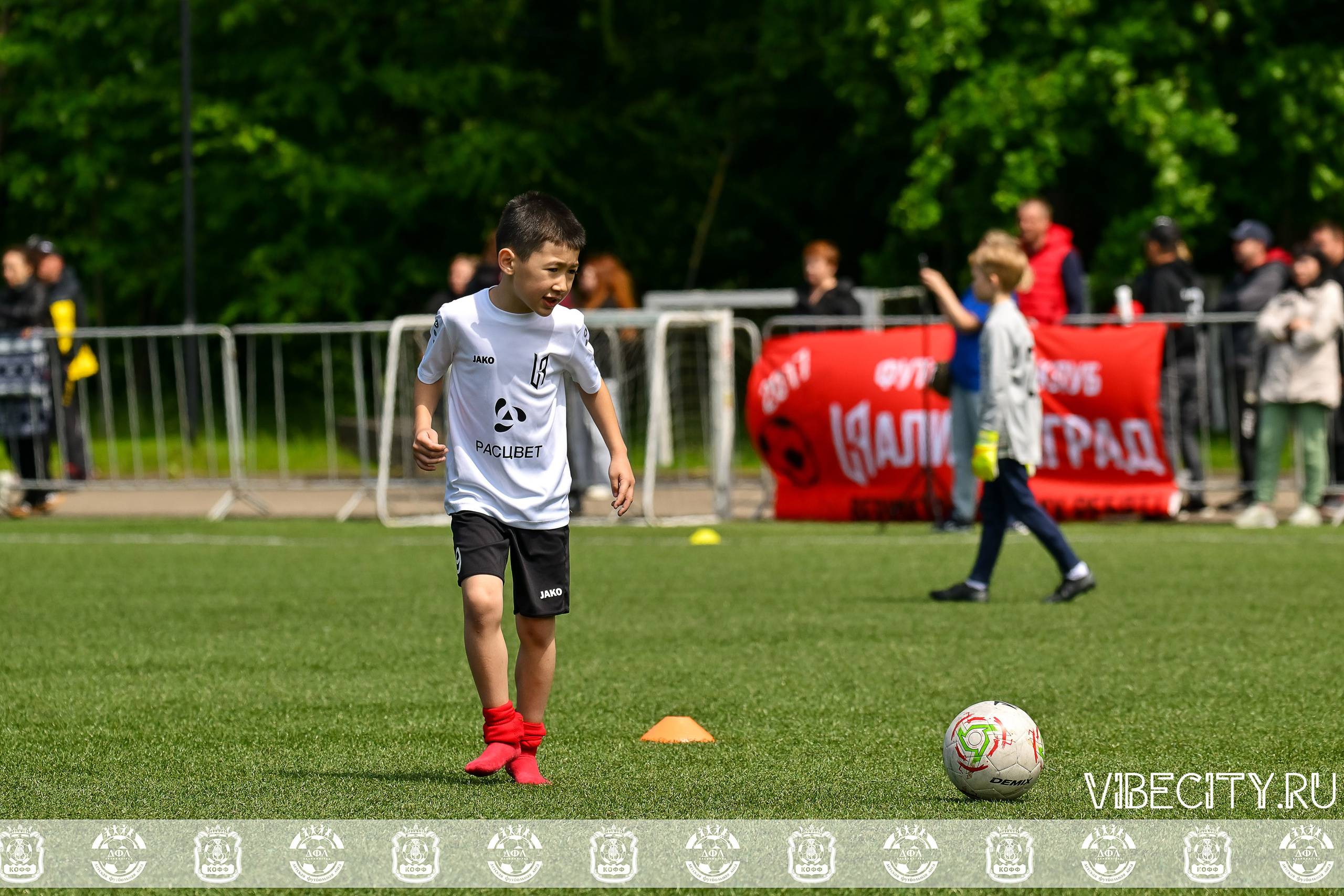 Большие Звезды светят Малым. VIBECITY.RU Вайб Сити Ру Фоторепортажи Фотоотчеты Калининград