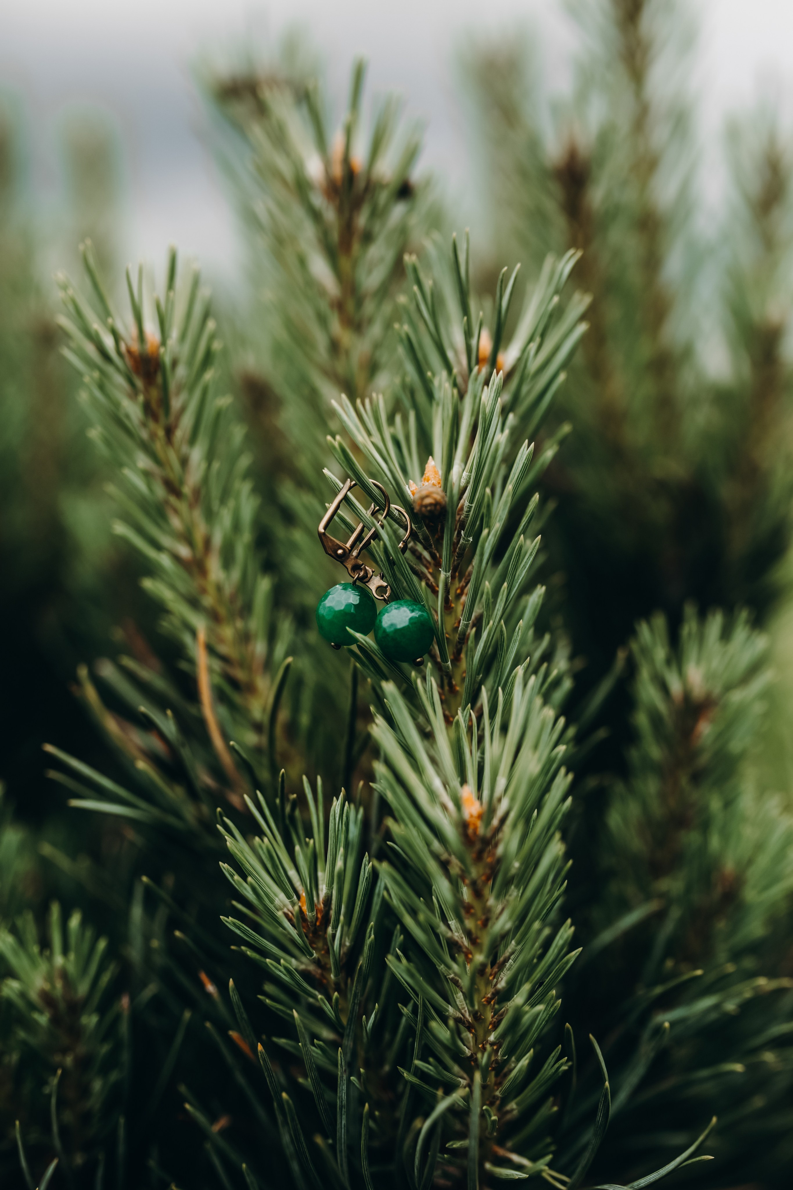 Надя и Йонас. Главная