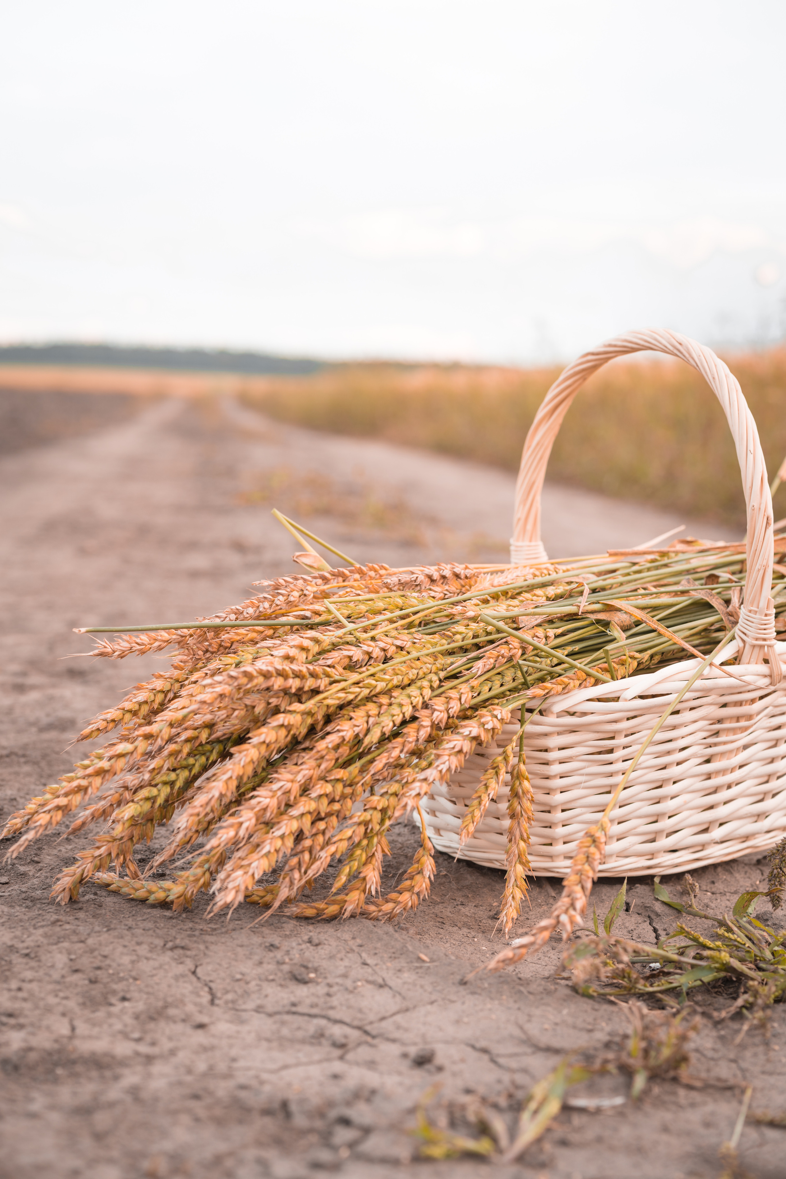 Контент-фотограф Власова Валентина, г. Ейск, ст. Старощербиновская