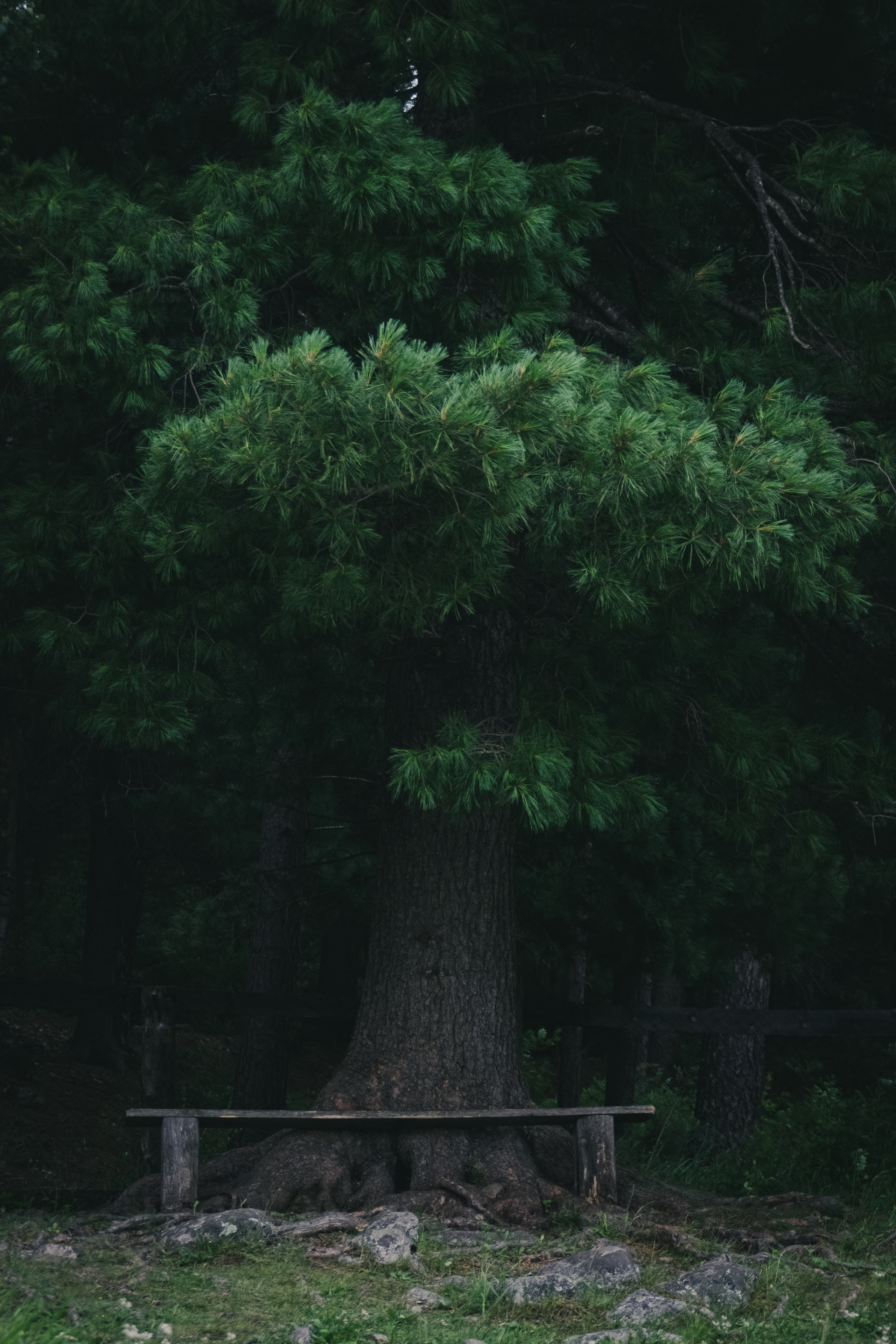 Контент-фотограф Власова Валентина, г. Ейск, ст. Старощербиновская