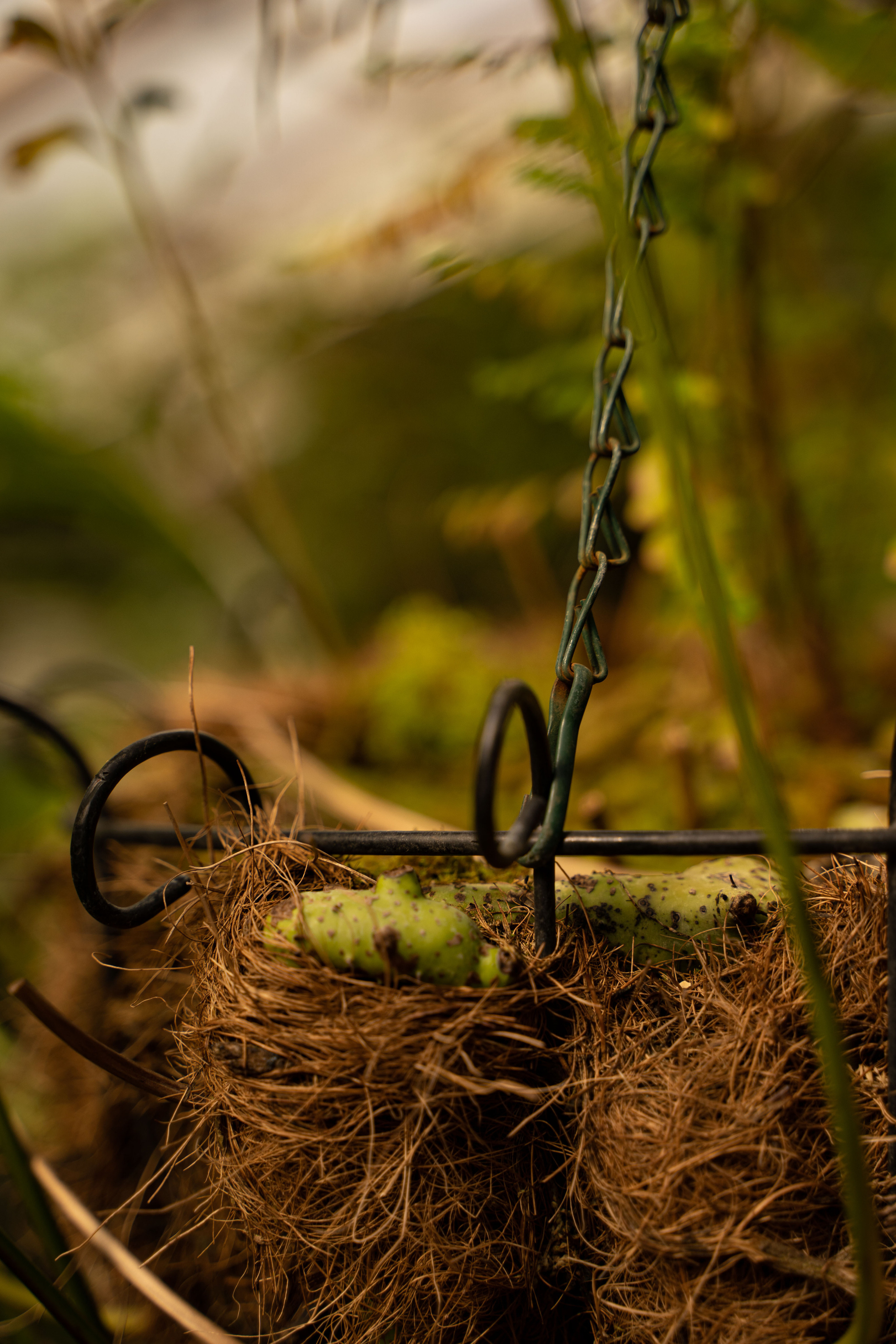 Контент-фотограф Власова Валентина, г. Ейск, ст. Старощербиновская