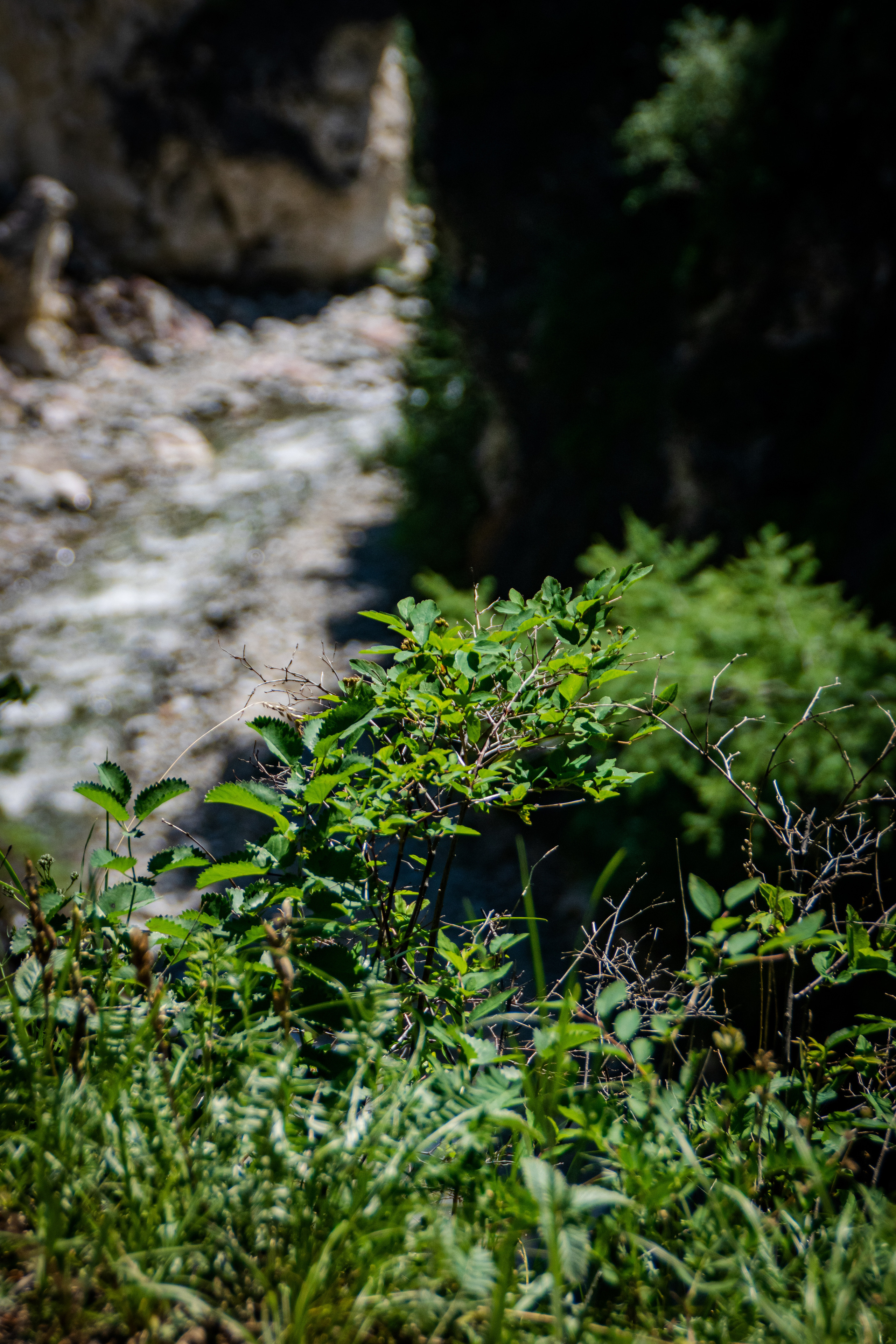 Контент-фотограф Власова Валентина, г. Ейск, ст. Старощербиновская