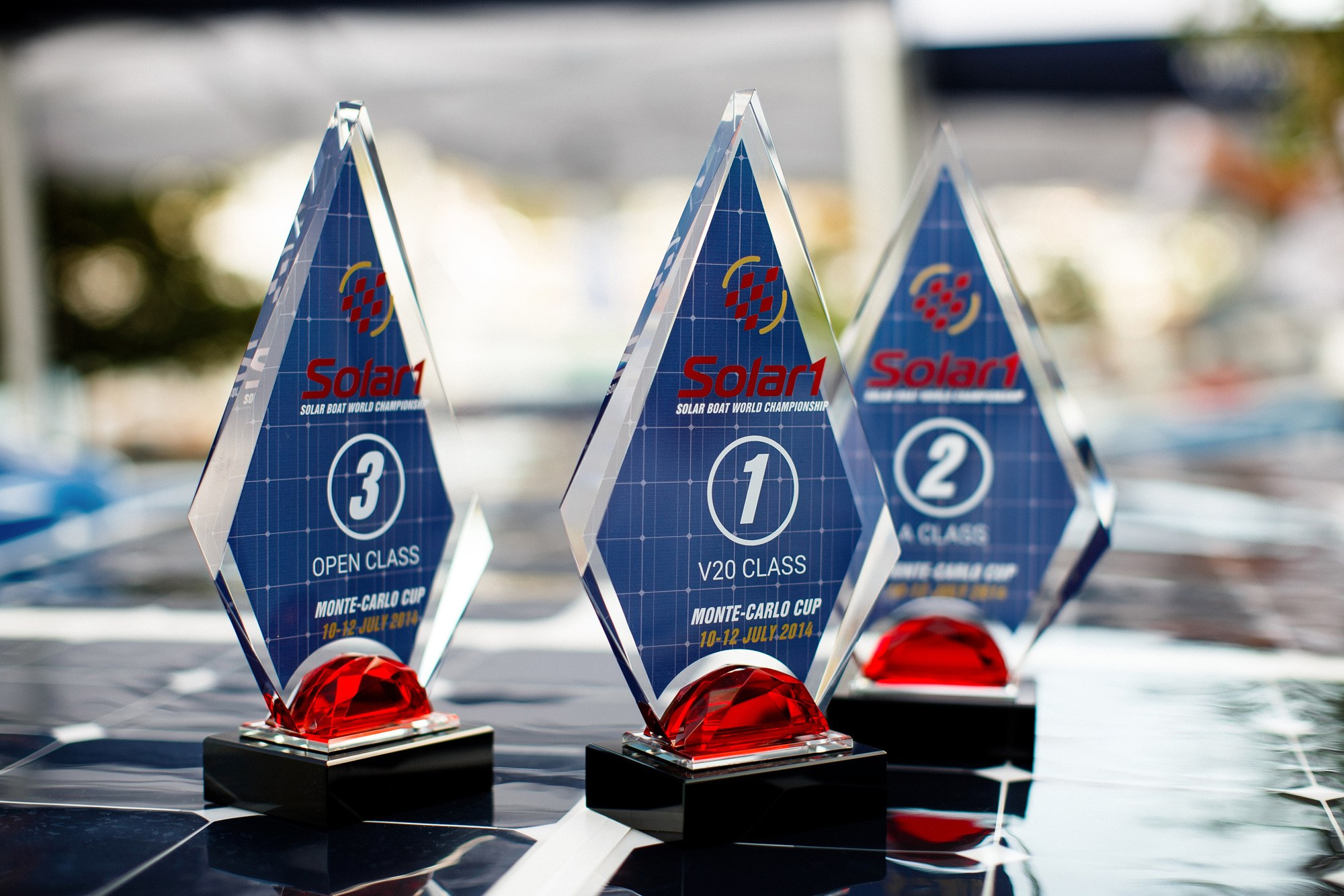 Report VIII. Veedoff