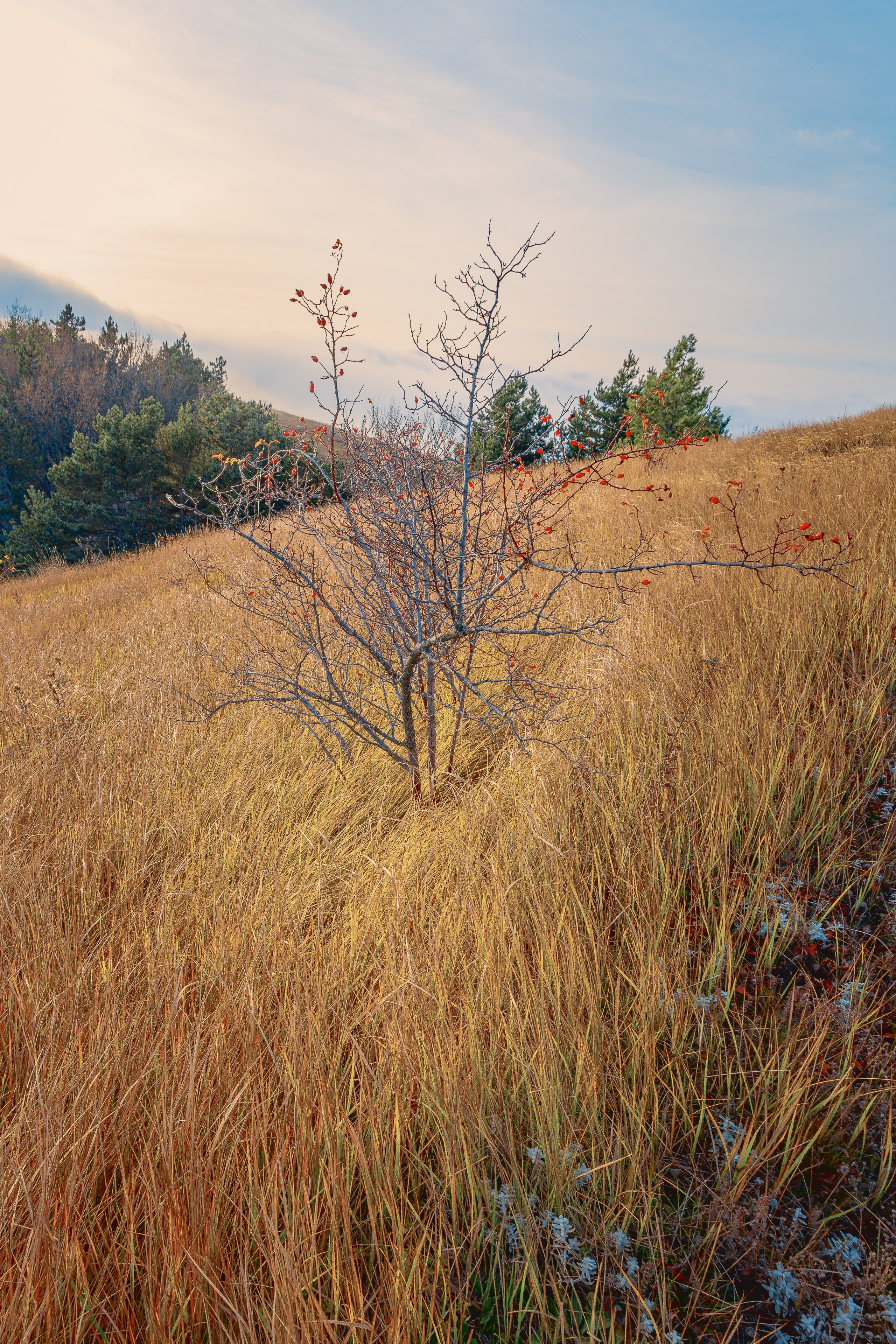 Пейзажная фотография. Фотошкола ArtFotoLife для начинающих и продвинутых фотографов