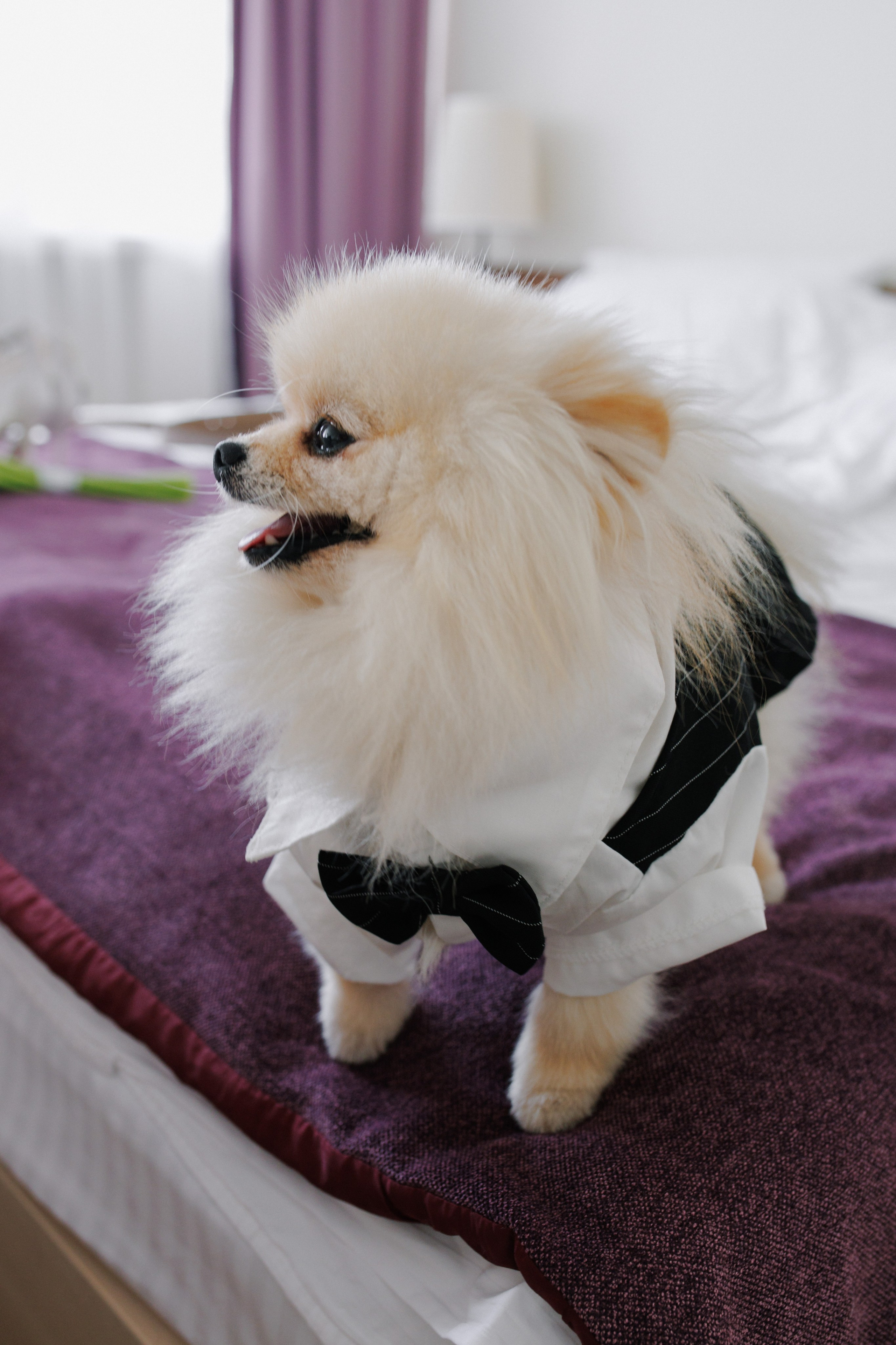 Мое портфолио за 2025 год. Свадебный фотограф СПБ