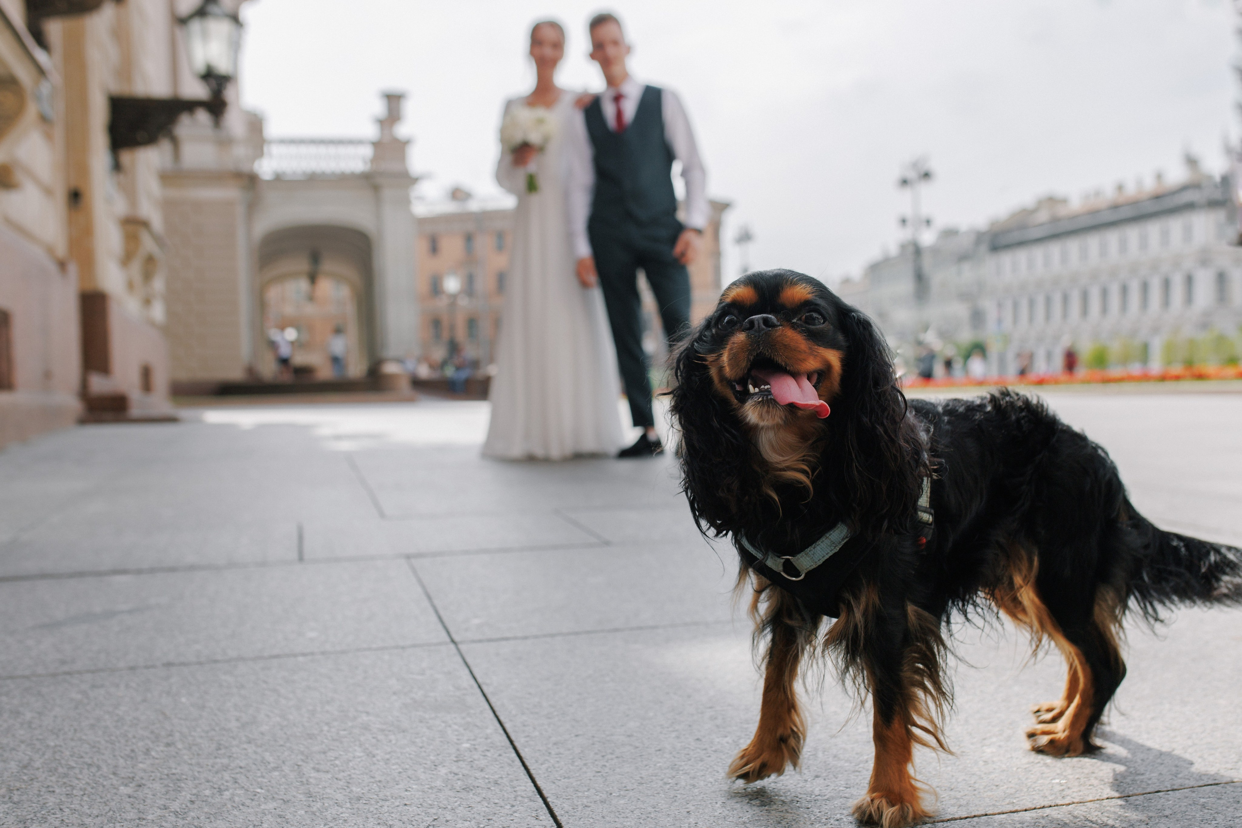 Мое портфолио за 2025 год. Свадебный фотограф СПБ