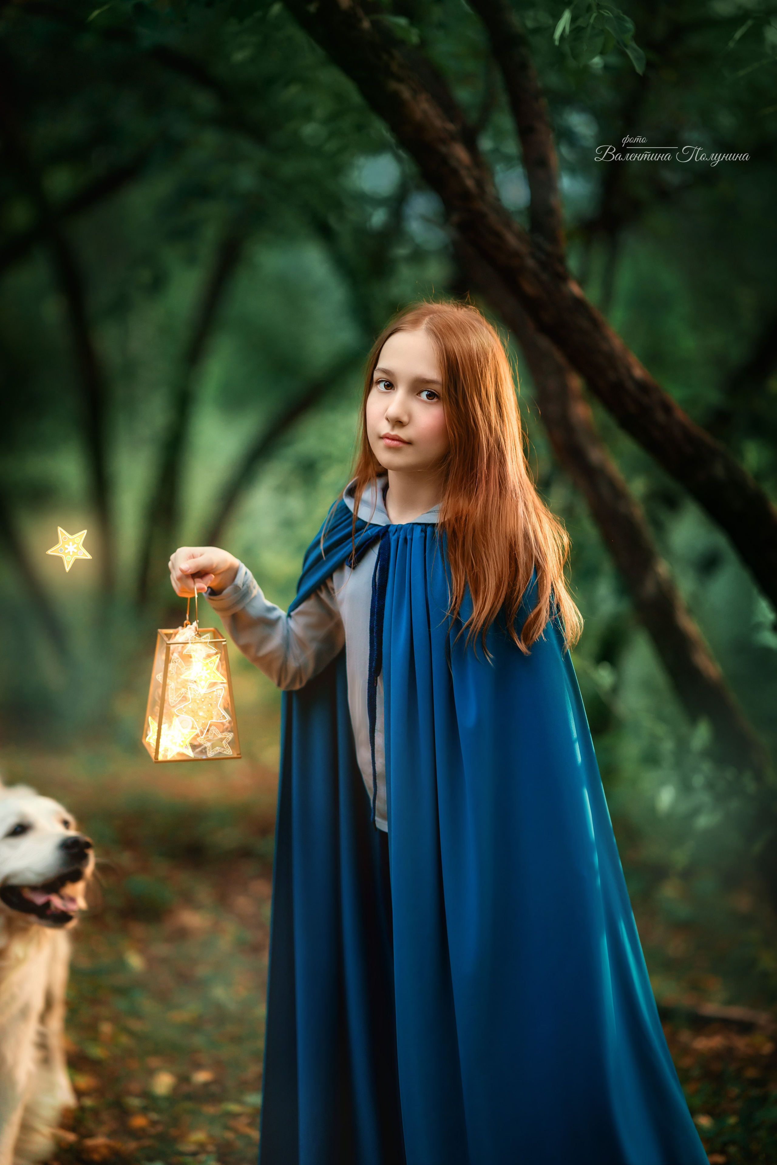 Волшебные звёзды. Фотограф Валентина Полунина