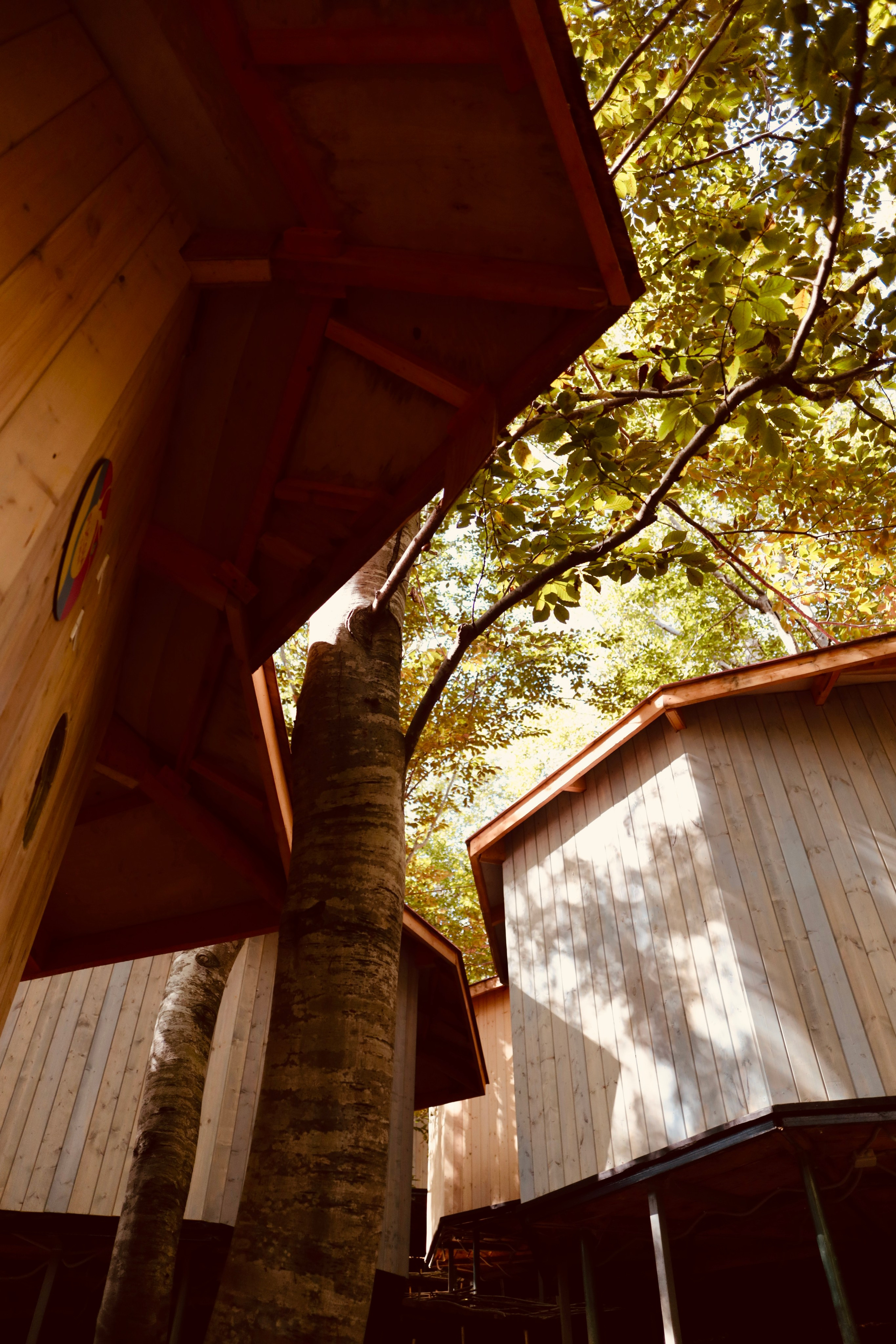 DESIGN. Maria Massouh | Arts & Art Therapy