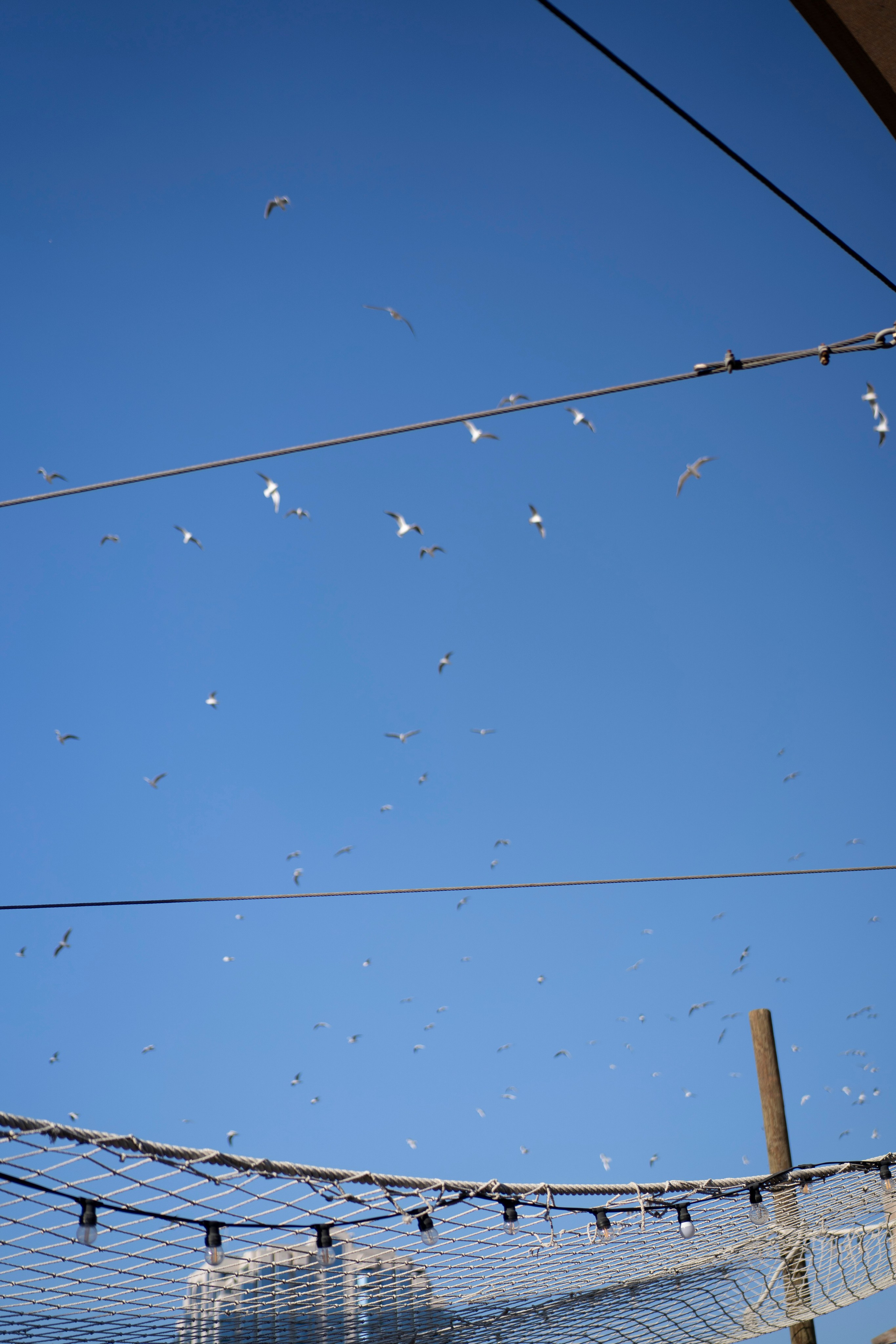 Женский портрет. Фотограф и видеограф в Москве
