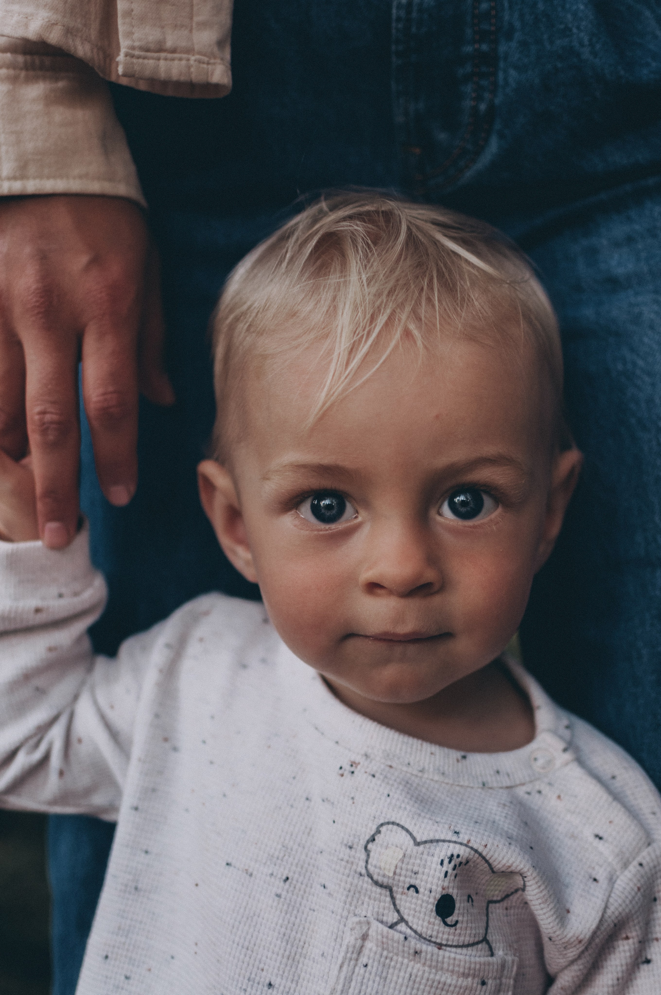 Один годик Андрюше. Семейный фотограф из Петрозаводска, Карелия