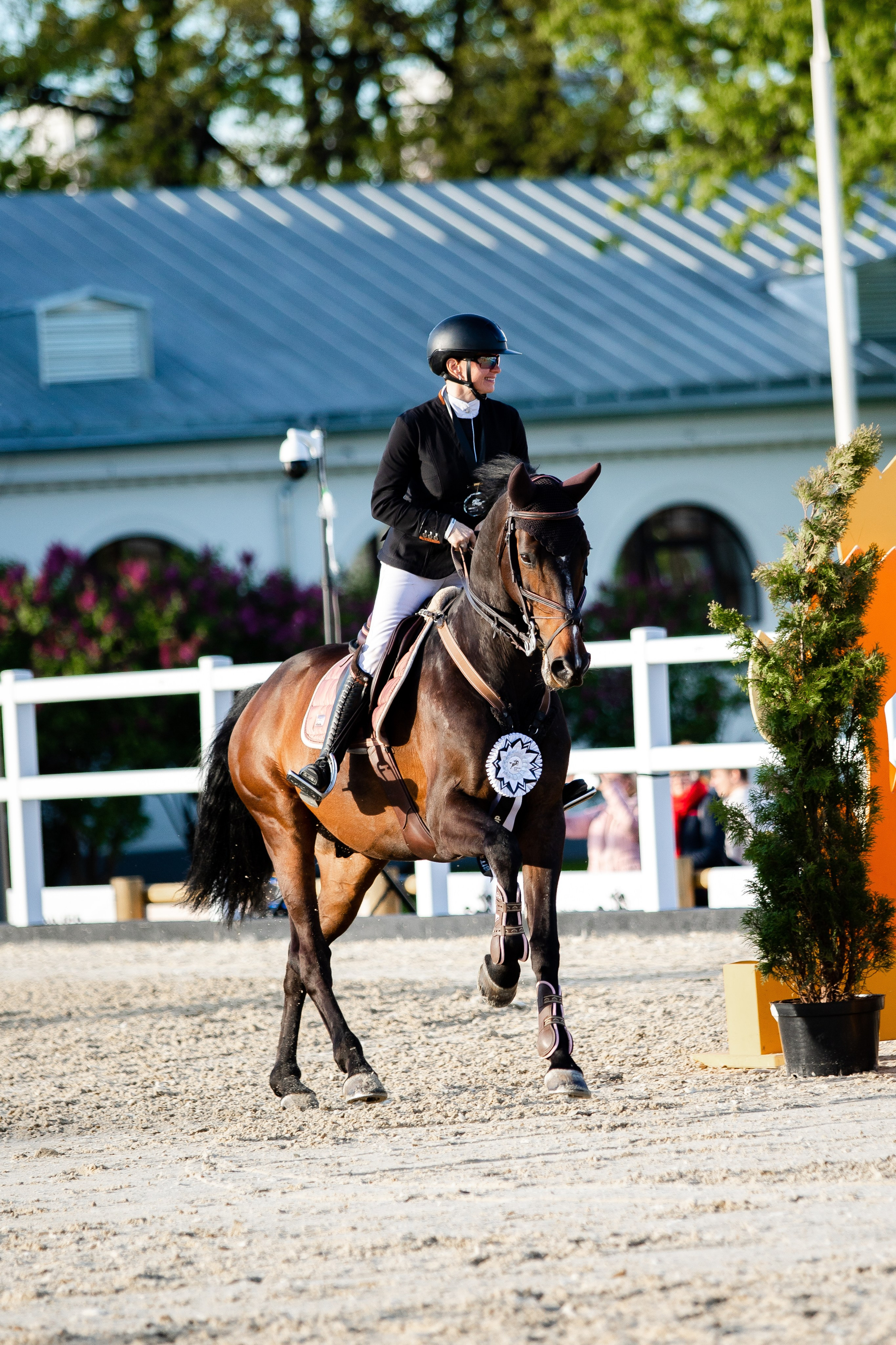 Турниры. Veronika Makeeva horse photo