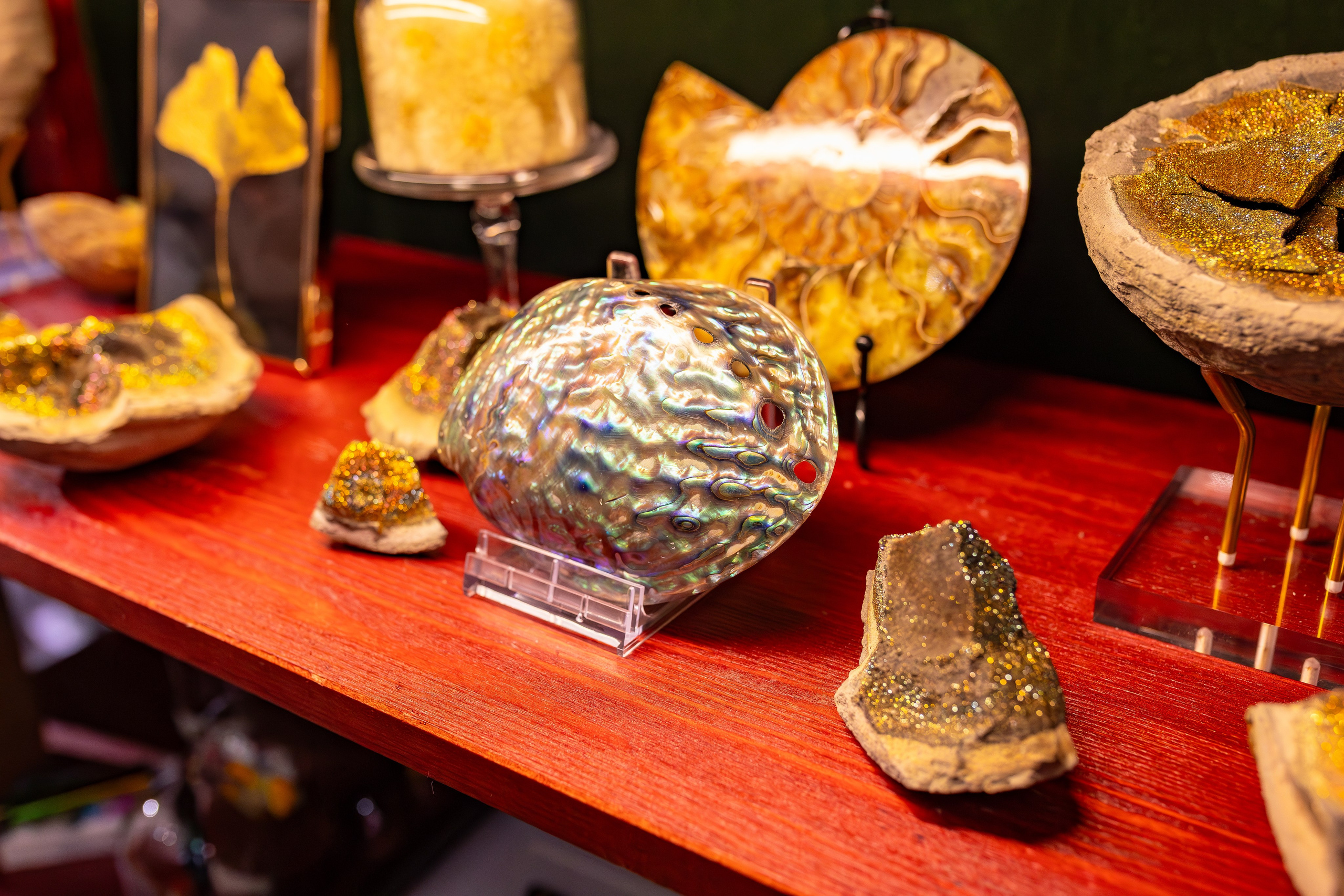 Орхидиум сентябрь 2025. Александра Куликова фотограф, Москва