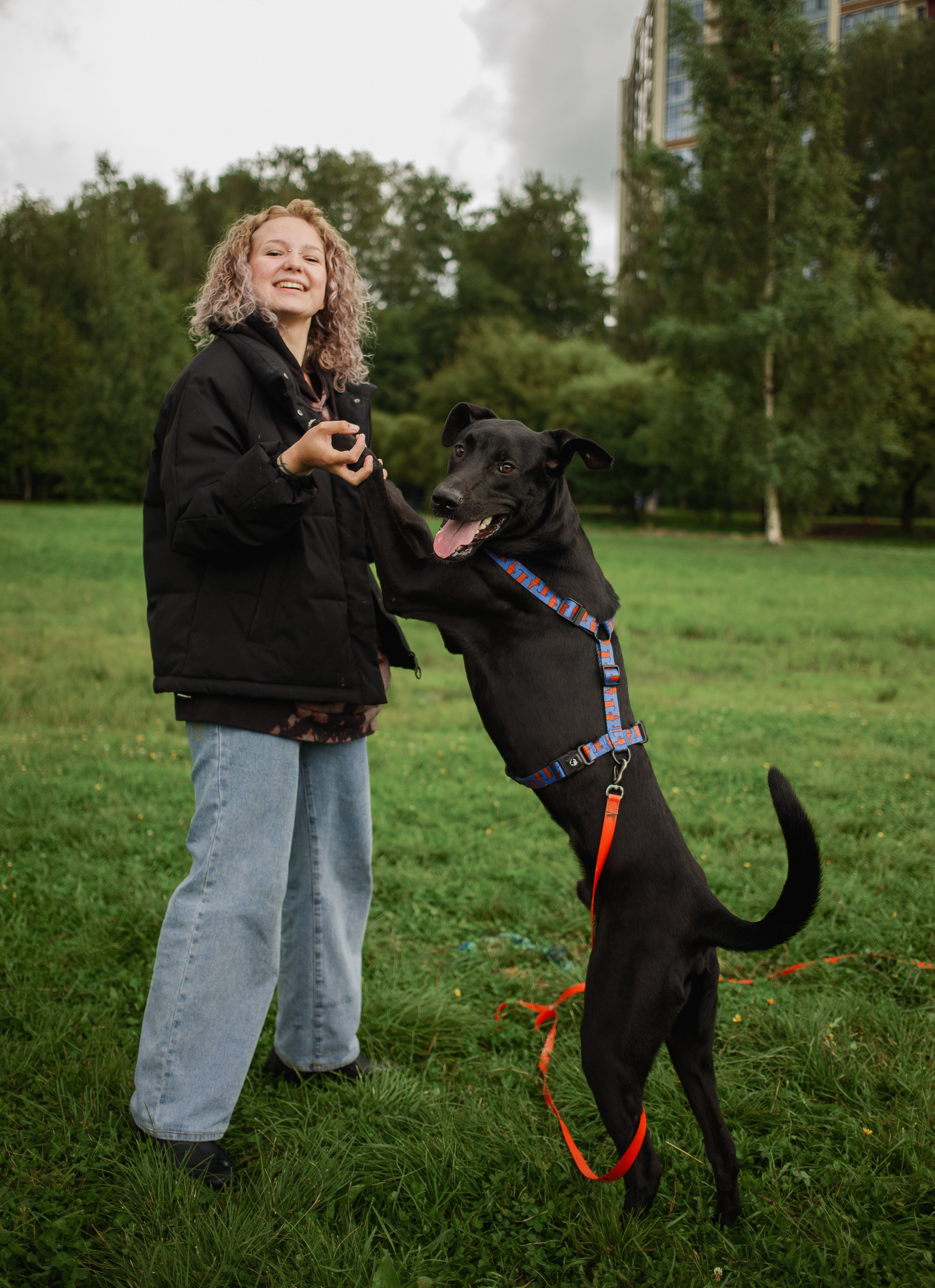 Отис ищет дом. Портретный фотограф в Санкт-Петербурге Катя Протасевич