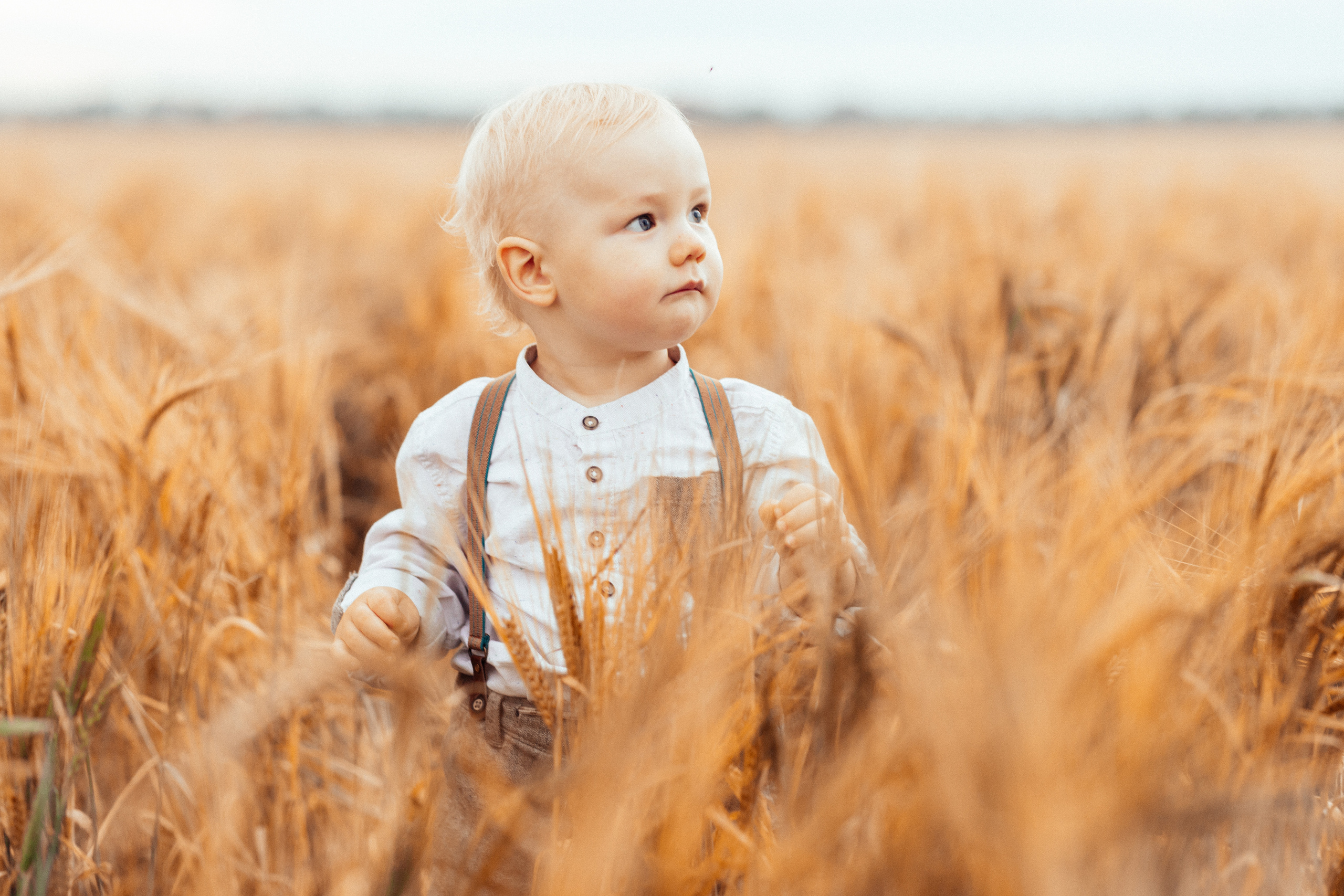 Семейная фотосессия в поле 🌾. Семейный фотограф Ирис Сенченко